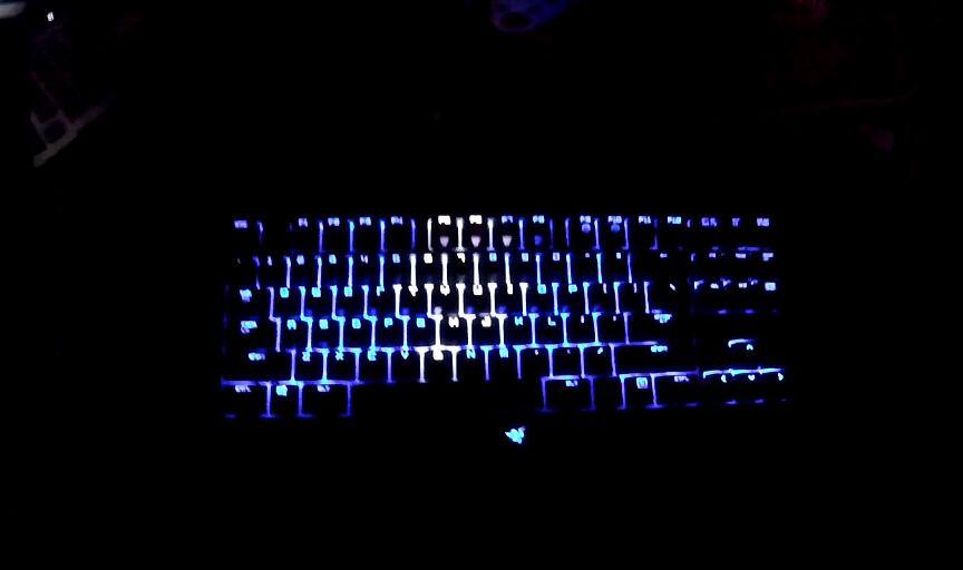 Tampa Bay Lightning Custom Back light Made by Franklin Lapinski (BrevetTv), click to load a larger version