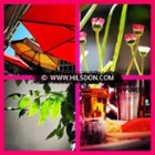 Photos taken using Nikon P520 camera, transferred to iPhone using Nikon - WU-1A Wireless Mobile Adapter., click to load a larger version