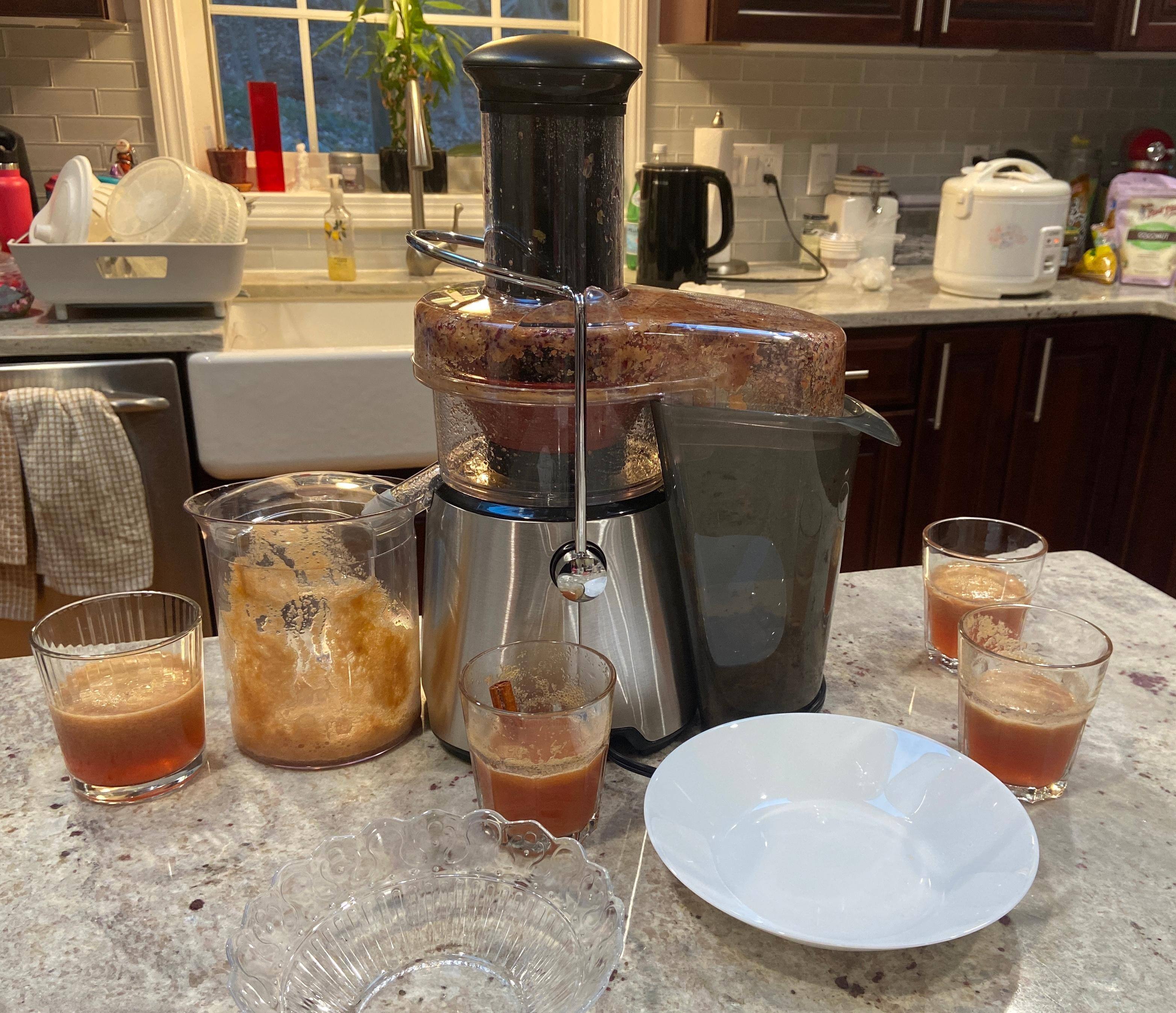 Large juicer, click to load a larger version