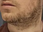 My unshaved beard, after multiple days.  I made sure to give this shaver a challenge beyond the daily cut., click to load a larger version