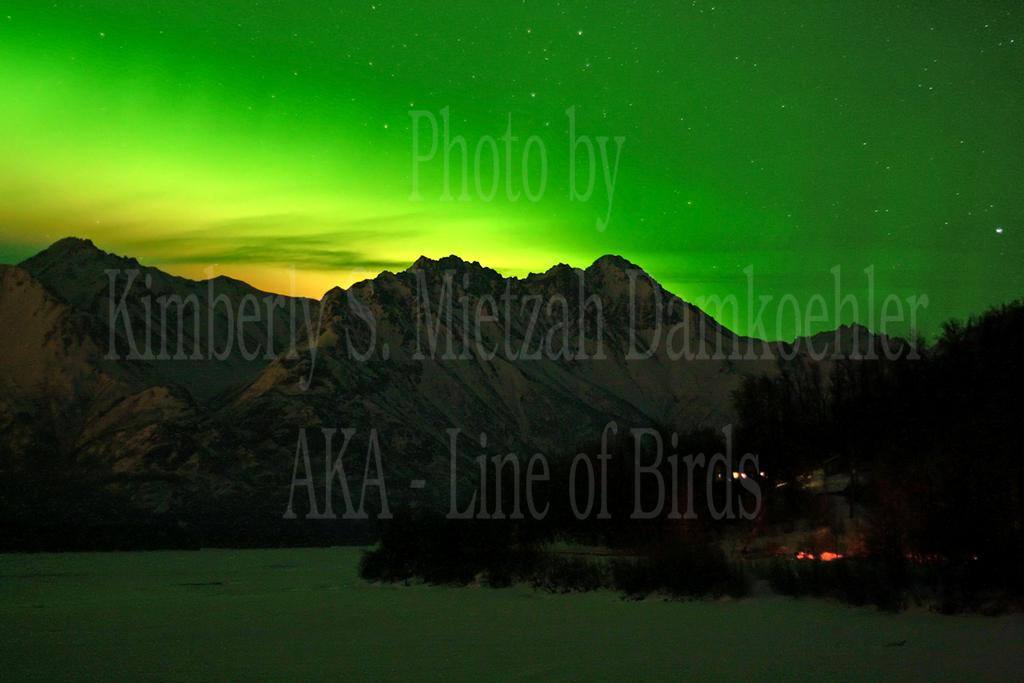 Nice and sharp, only because I'd just checked my focus again., click to load a larger version