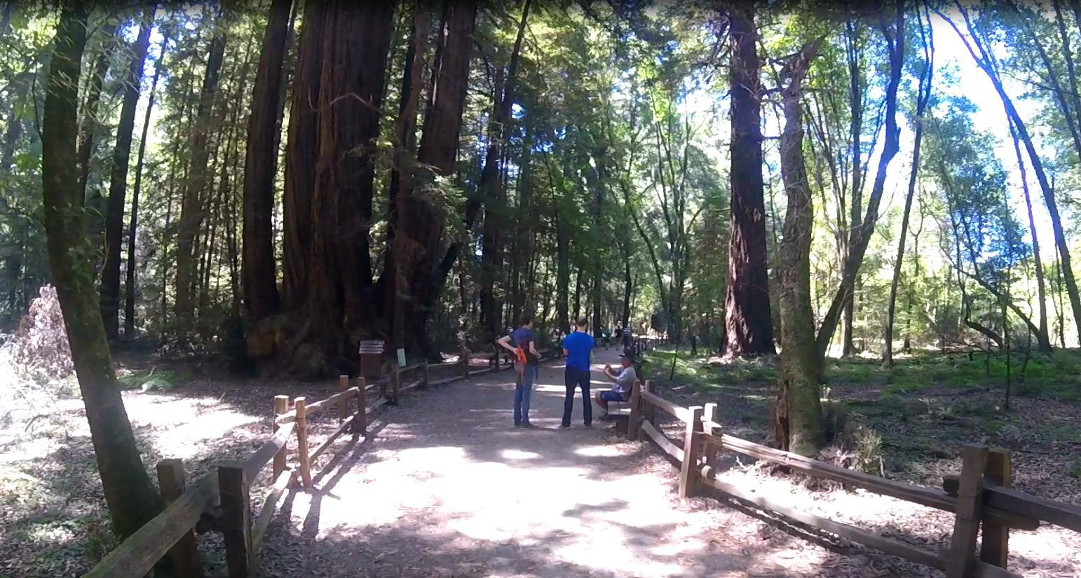 Screen shot from video cropped, click to load a larger version