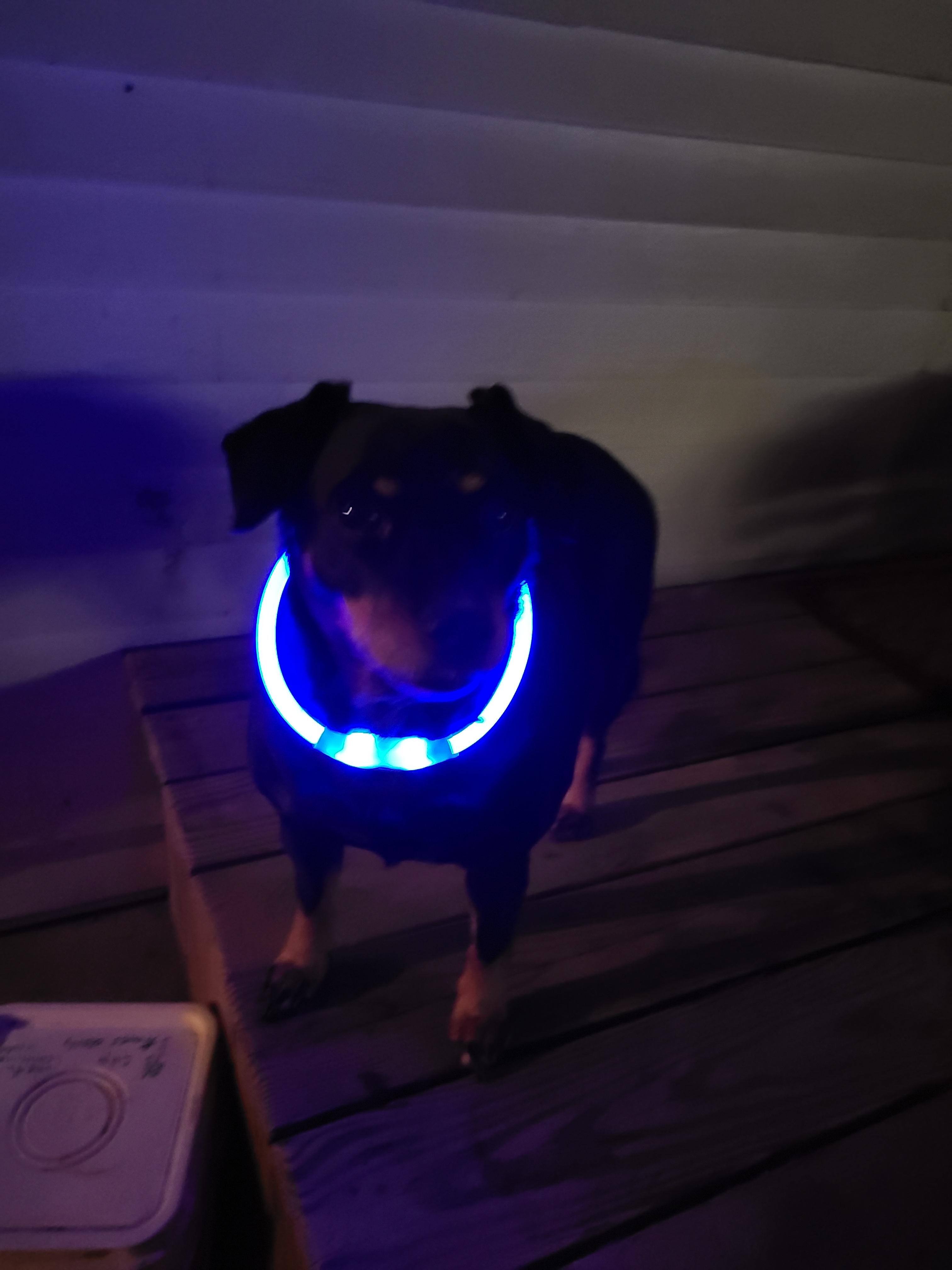 Customer provided image, click to load a larger version