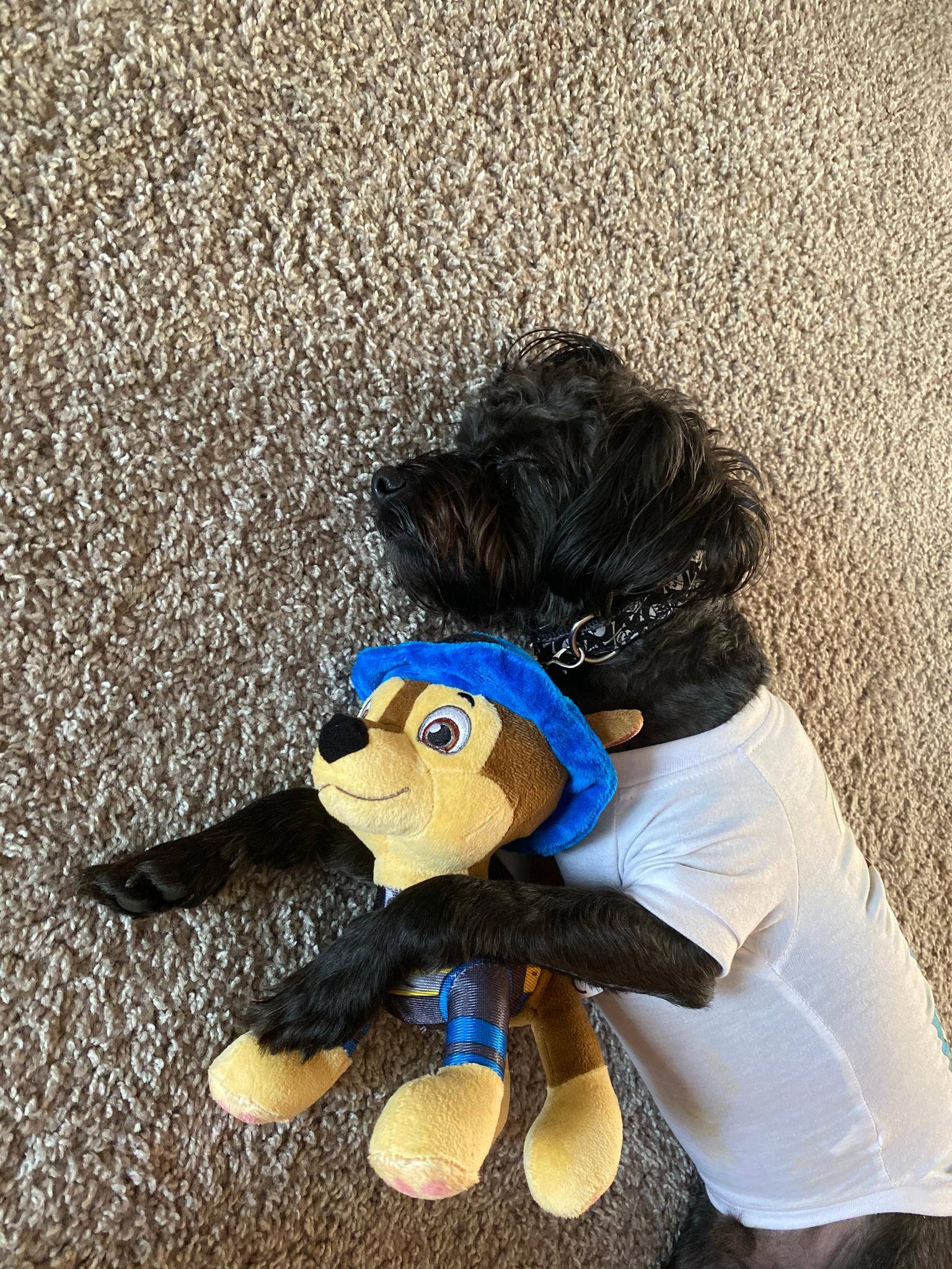 Customer provided image, click to load a larger version