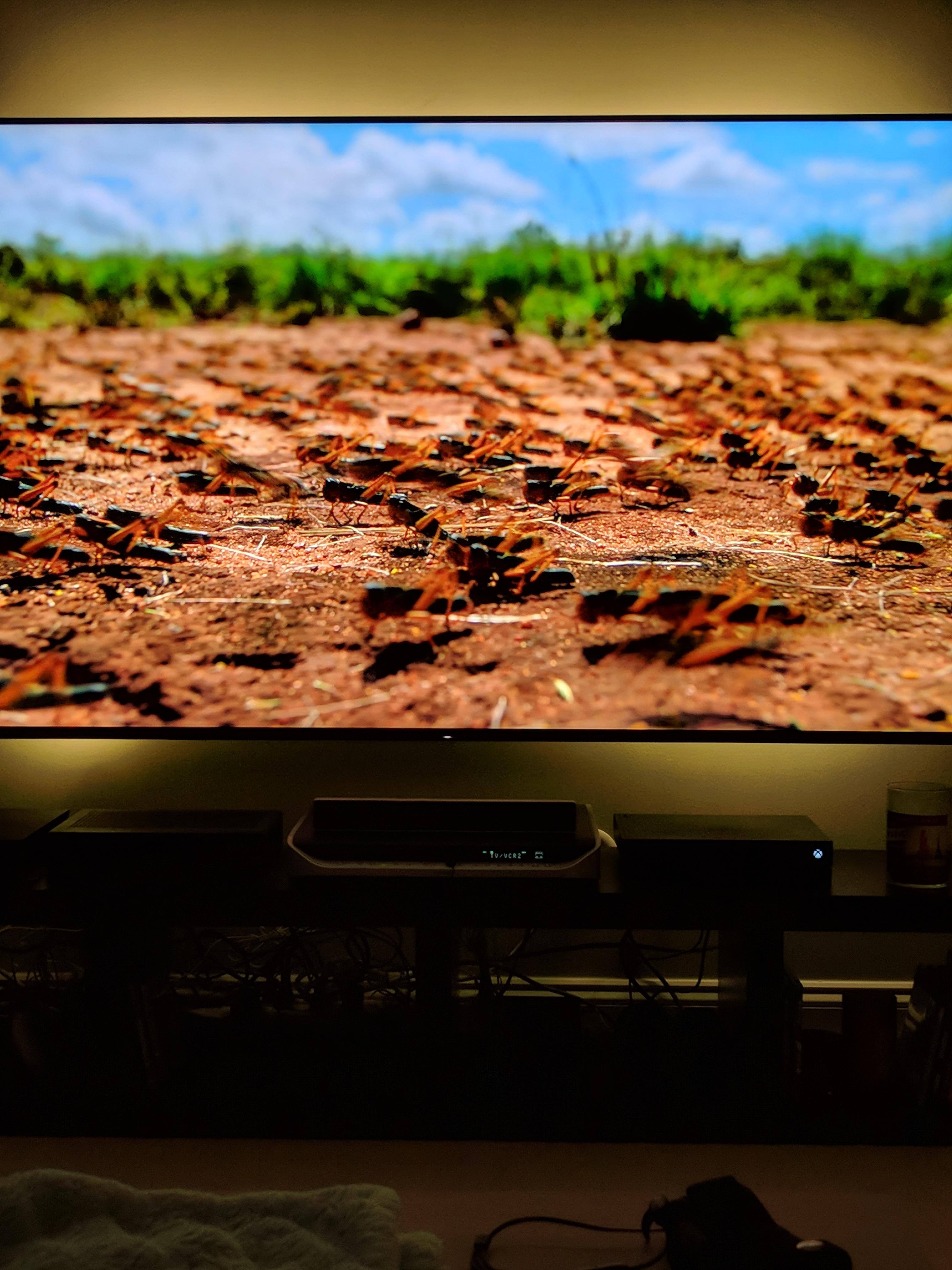 planet earth 2, click to load a larger version