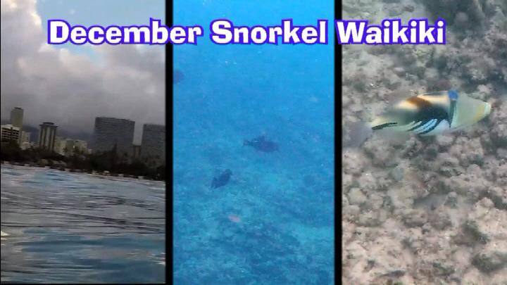 Aloha!, click to load a larger version