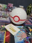 Pokémon GO: Premiere Deck Holder Collection (Dragonite) – Tabletop Village  LLC