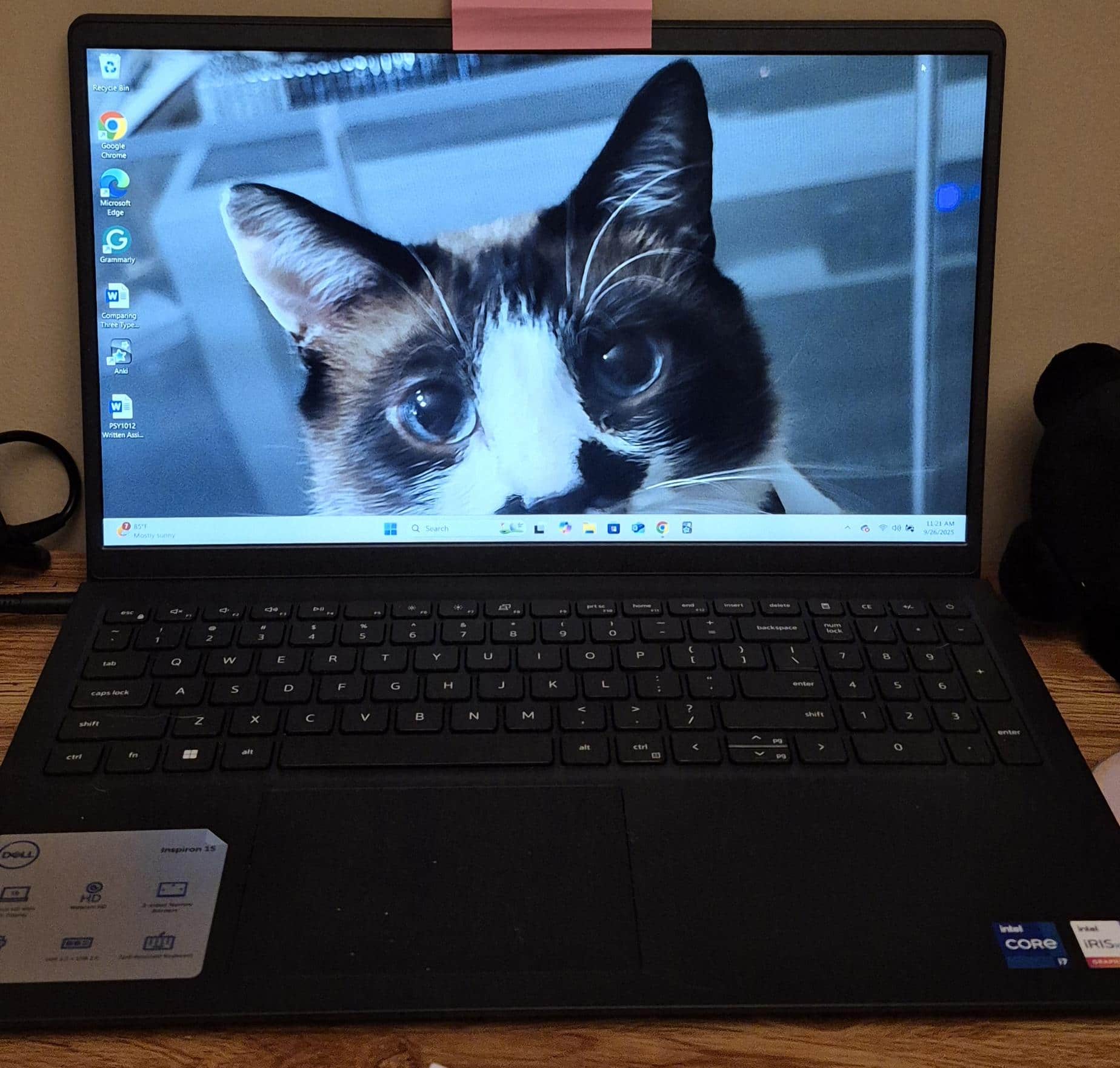 Customer provided, click to load a larger version