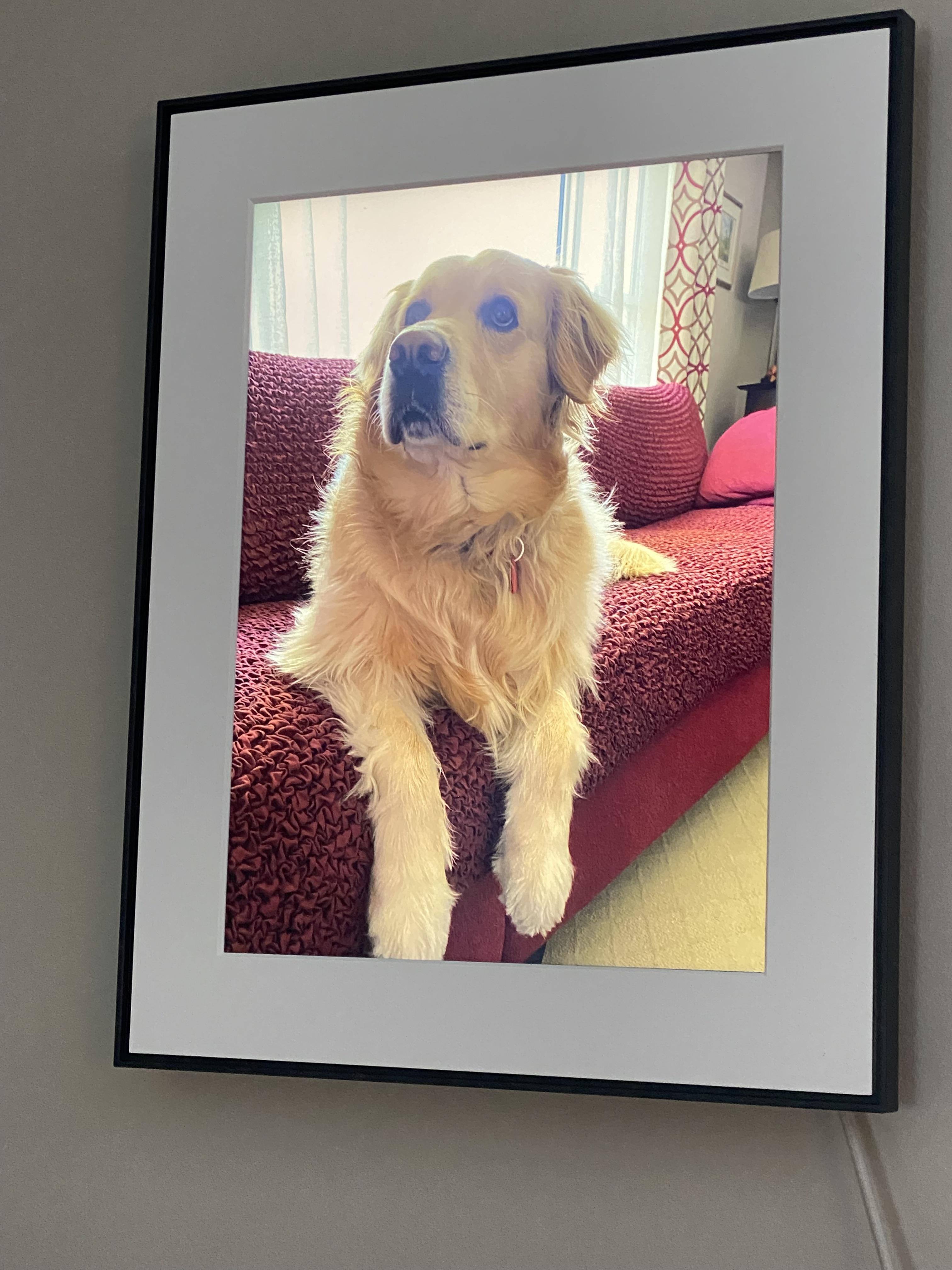 Customer provided image, click to load a larger version