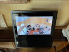 Works great with Alexa., click to load a larger version