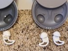 The Sleepbuds II have a more durable & intelligent magnet & charging pin design., click to load a larger version