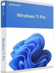 Microsoft Windows 11 Pro English Digital English FQC-10572
