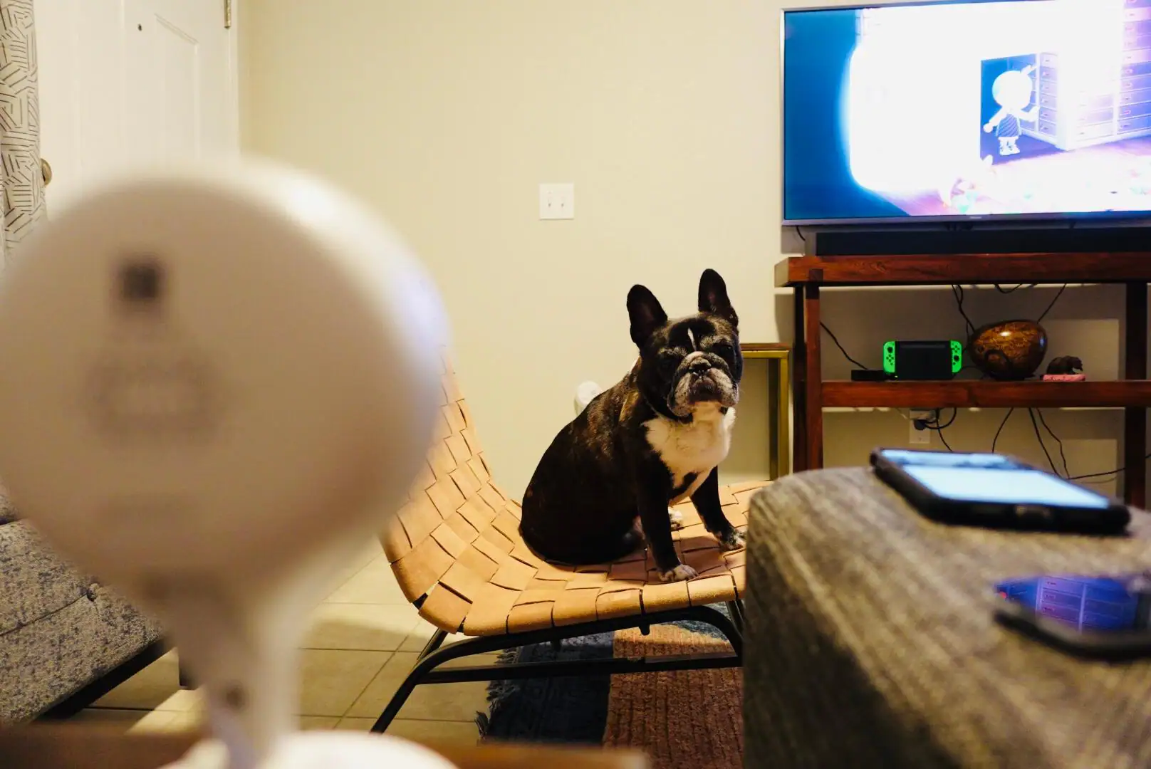 Perfectly snug on a shelf, click to load a larger version