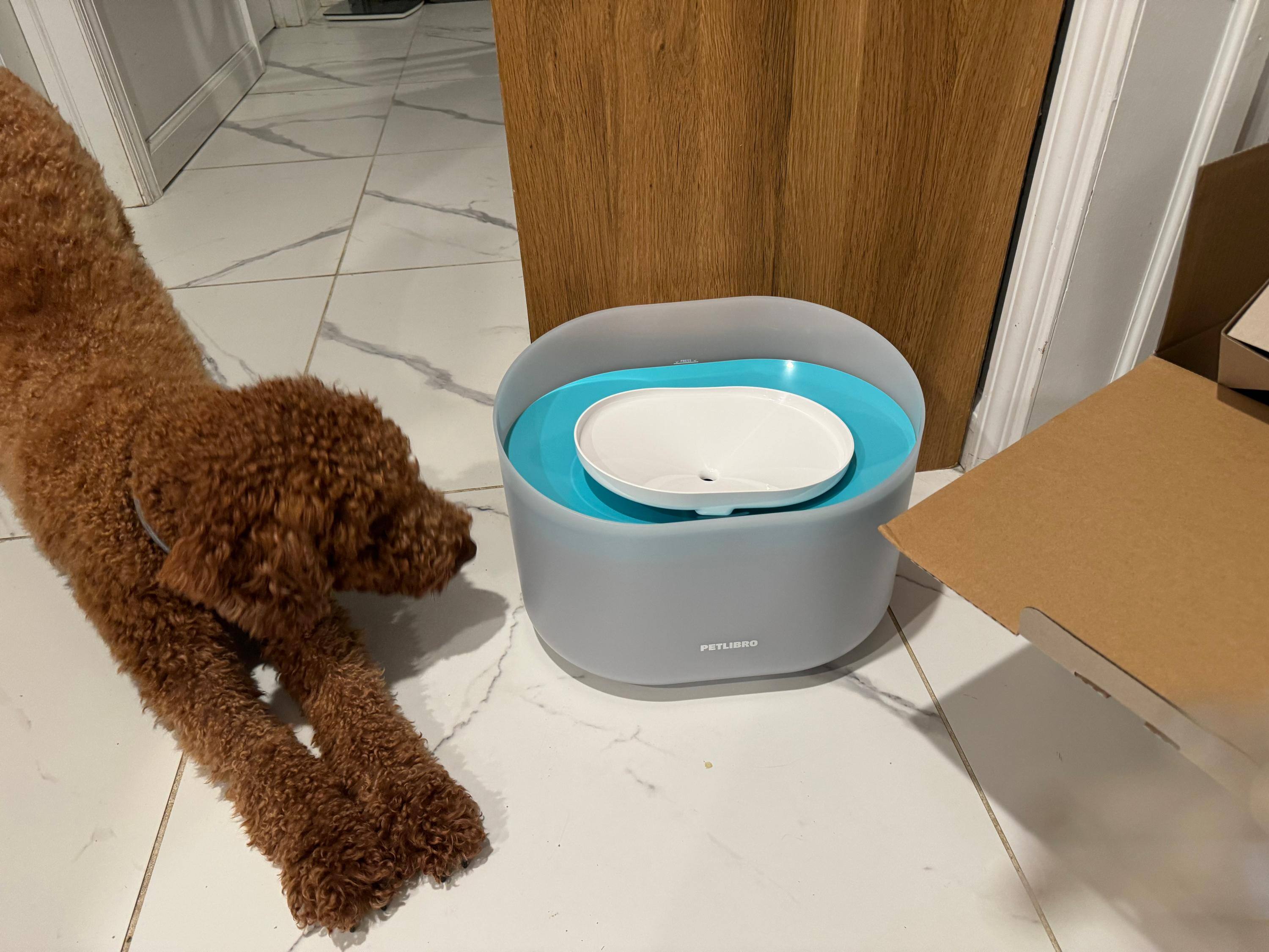 Customer provided image, click to load a larger version