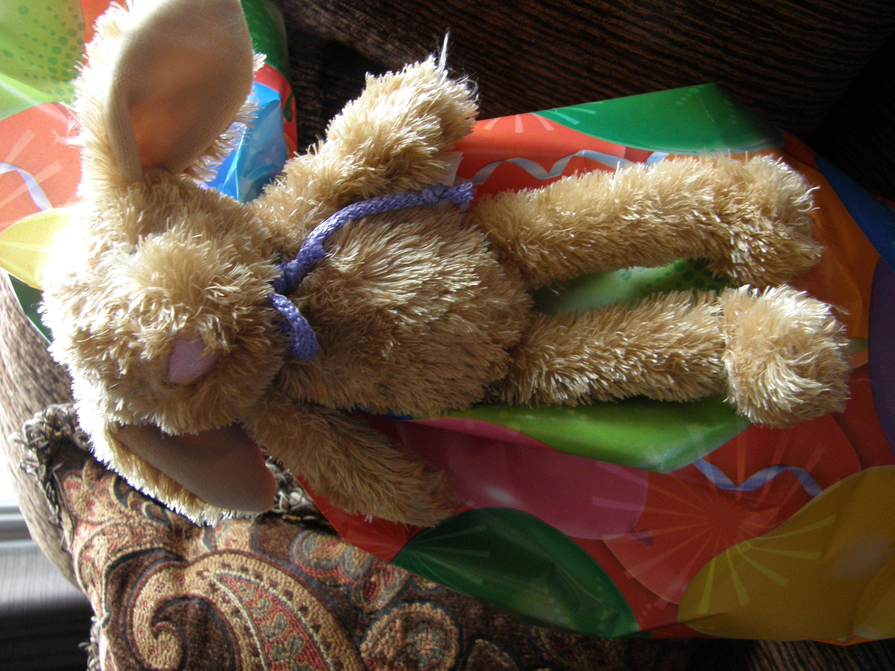 Gift Accent, click to load a larger version