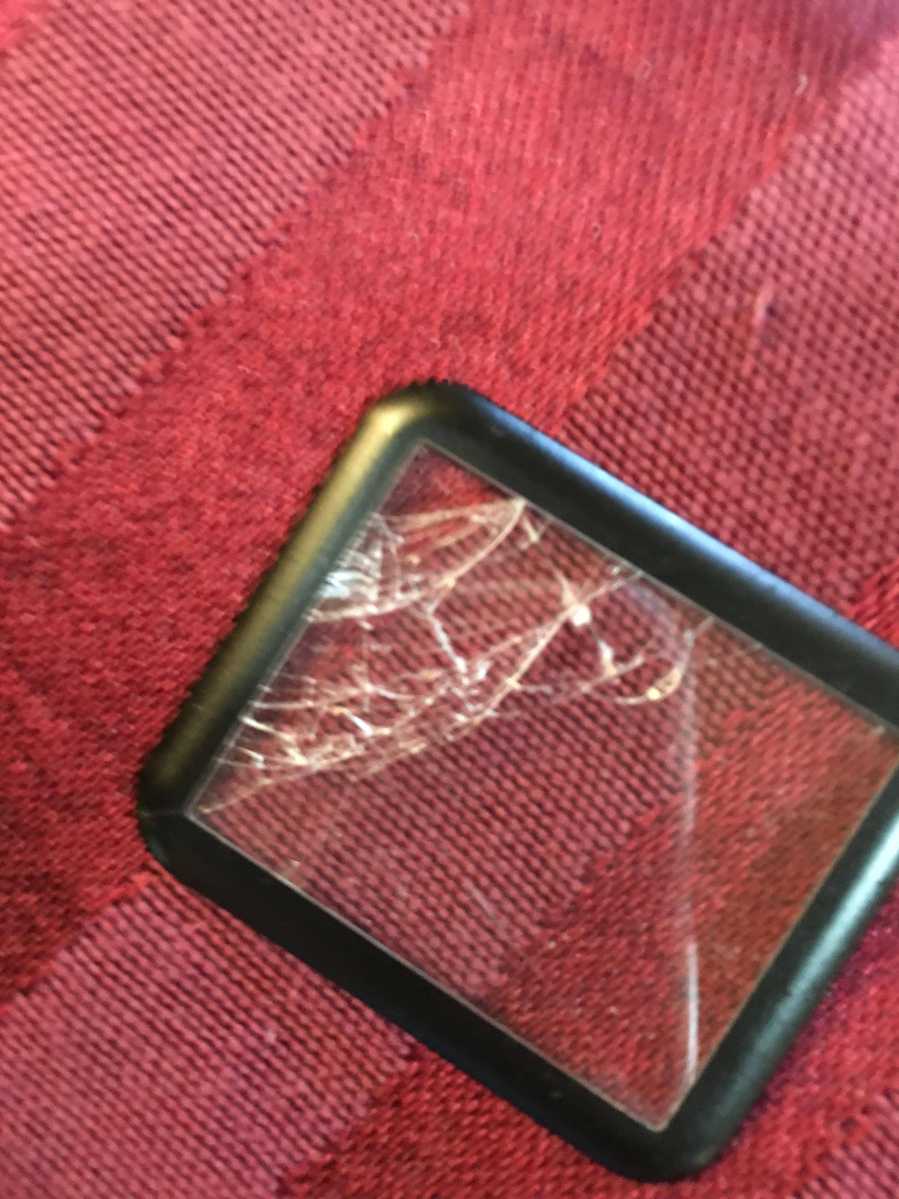 The protector. Underneath my watch was perfect., click to load a larger version