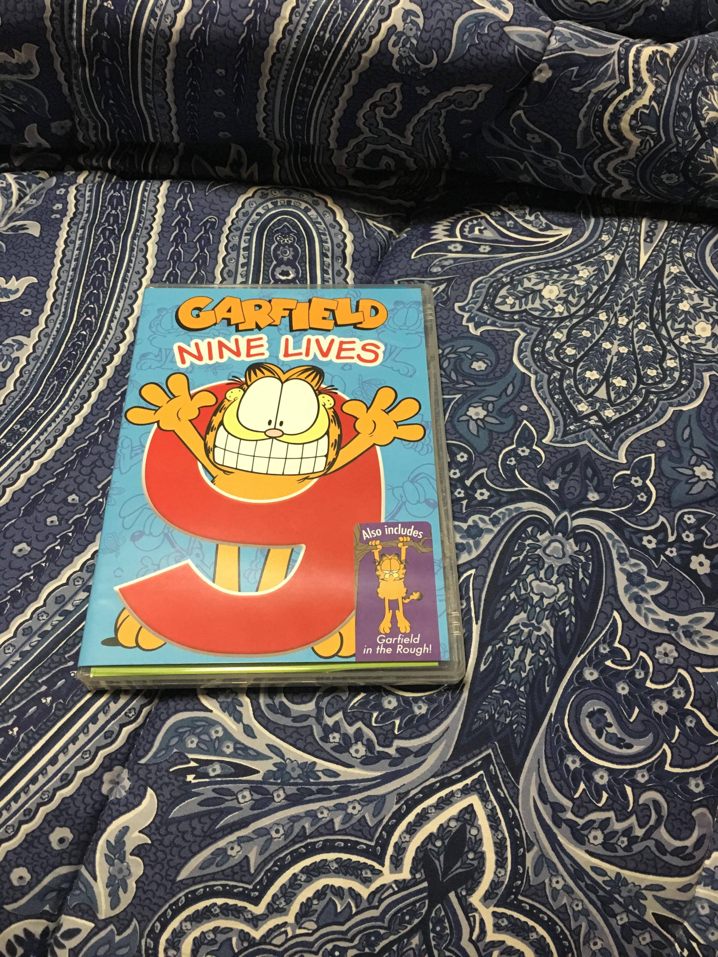 Front of “Garfield: Nine Lives (DVD, click to load a larger version