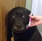 Me playing Agony, click to load a larger version