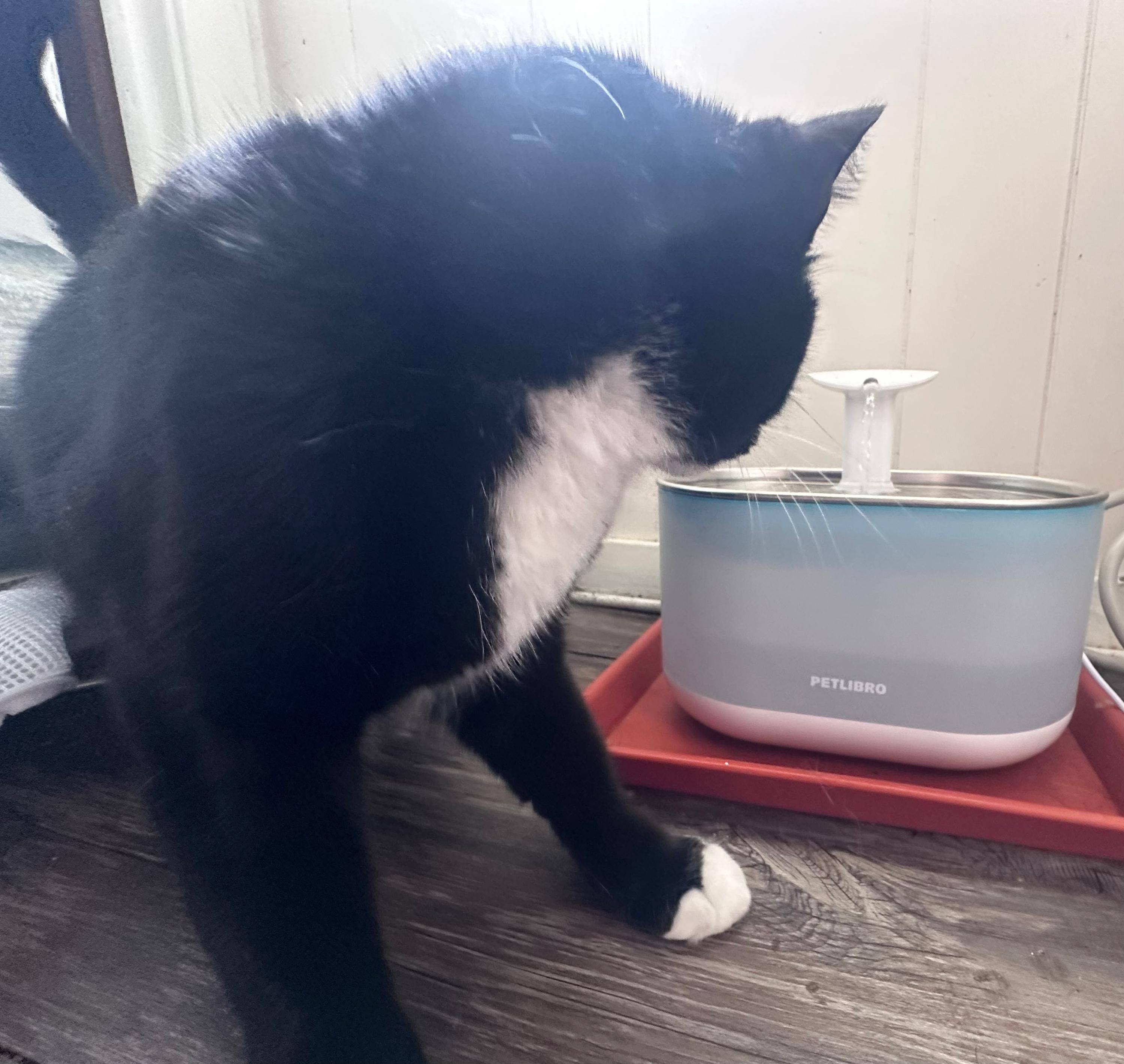 Customer provided image, click to load a larger version