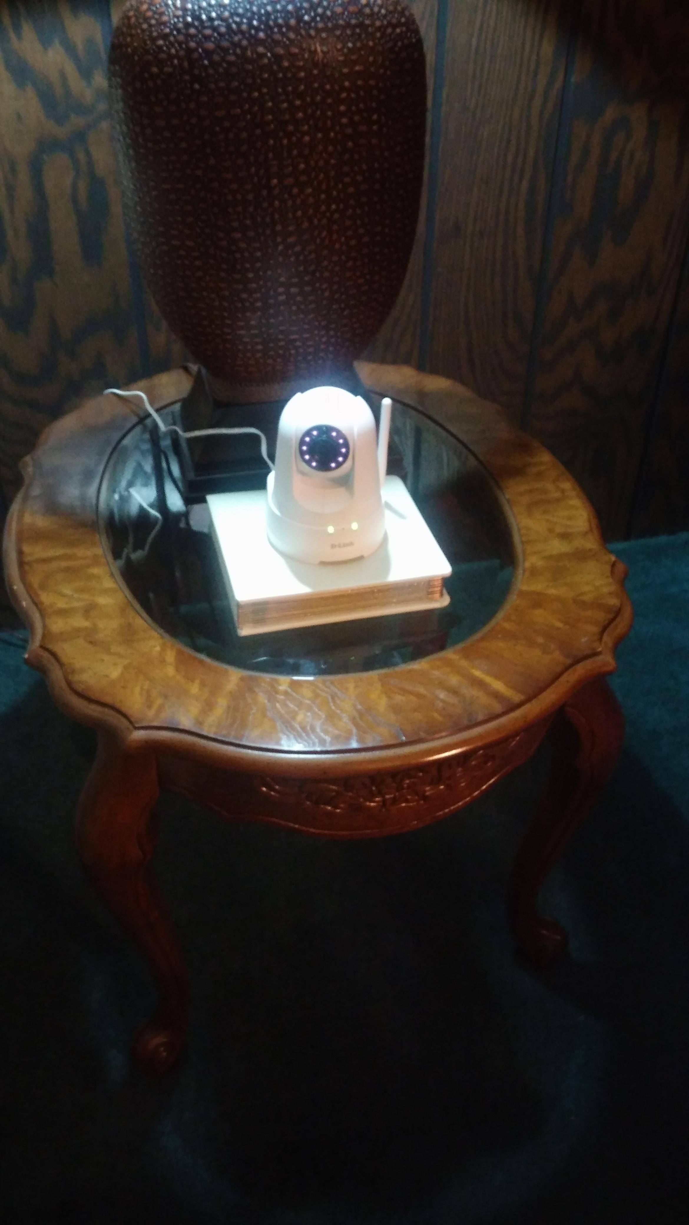 One in the living room & one pointed at the back door. Smile, you're on Candid Camera!, click to load a larger version