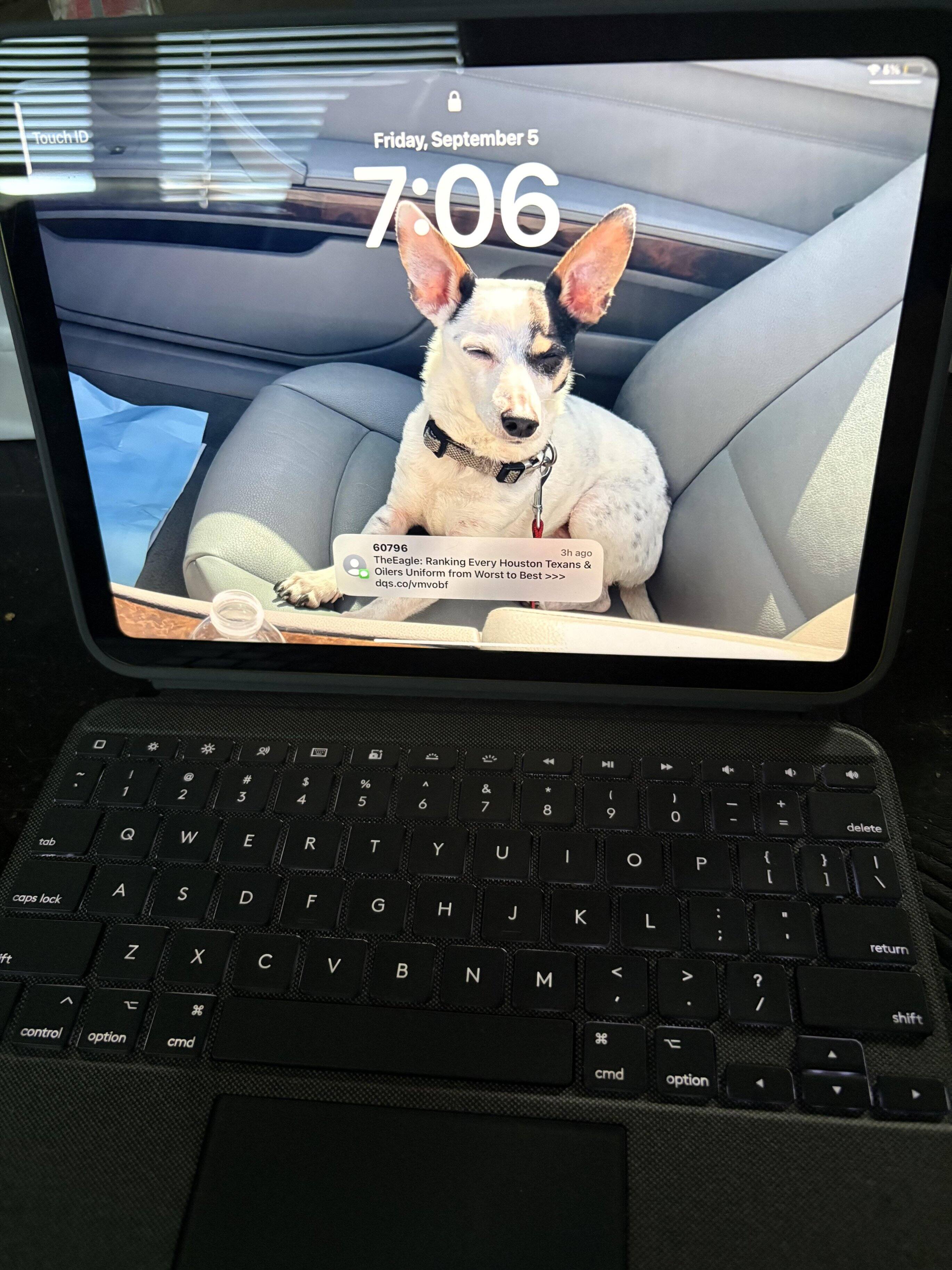 Customer provided, click to load a larger version