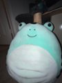 Jazwares Squishmallows 16 Plush Poison Dart Frog Dear SQCR04387 - Best Buy