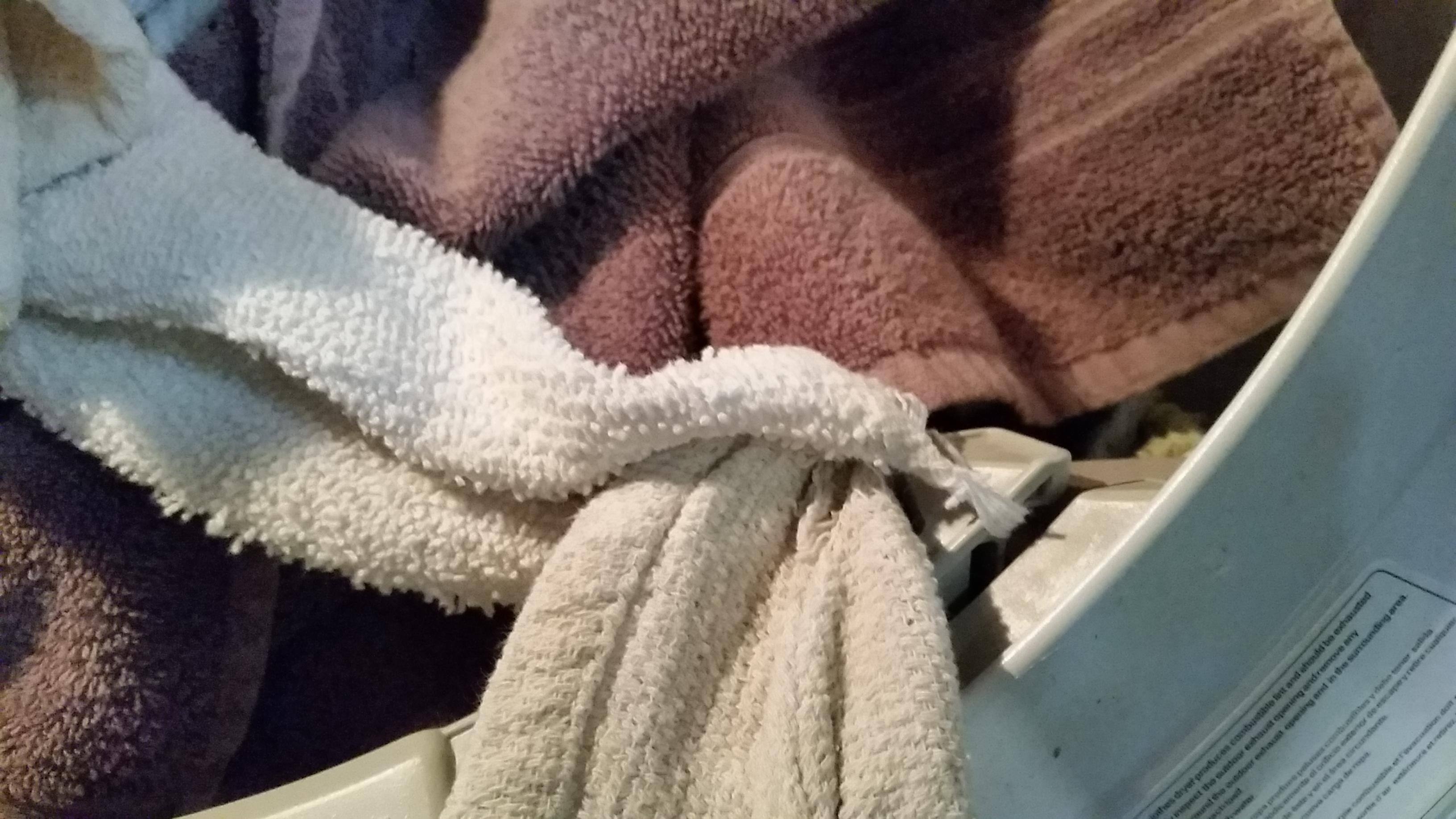 warped lint trap snags clothing, click to load a larger version