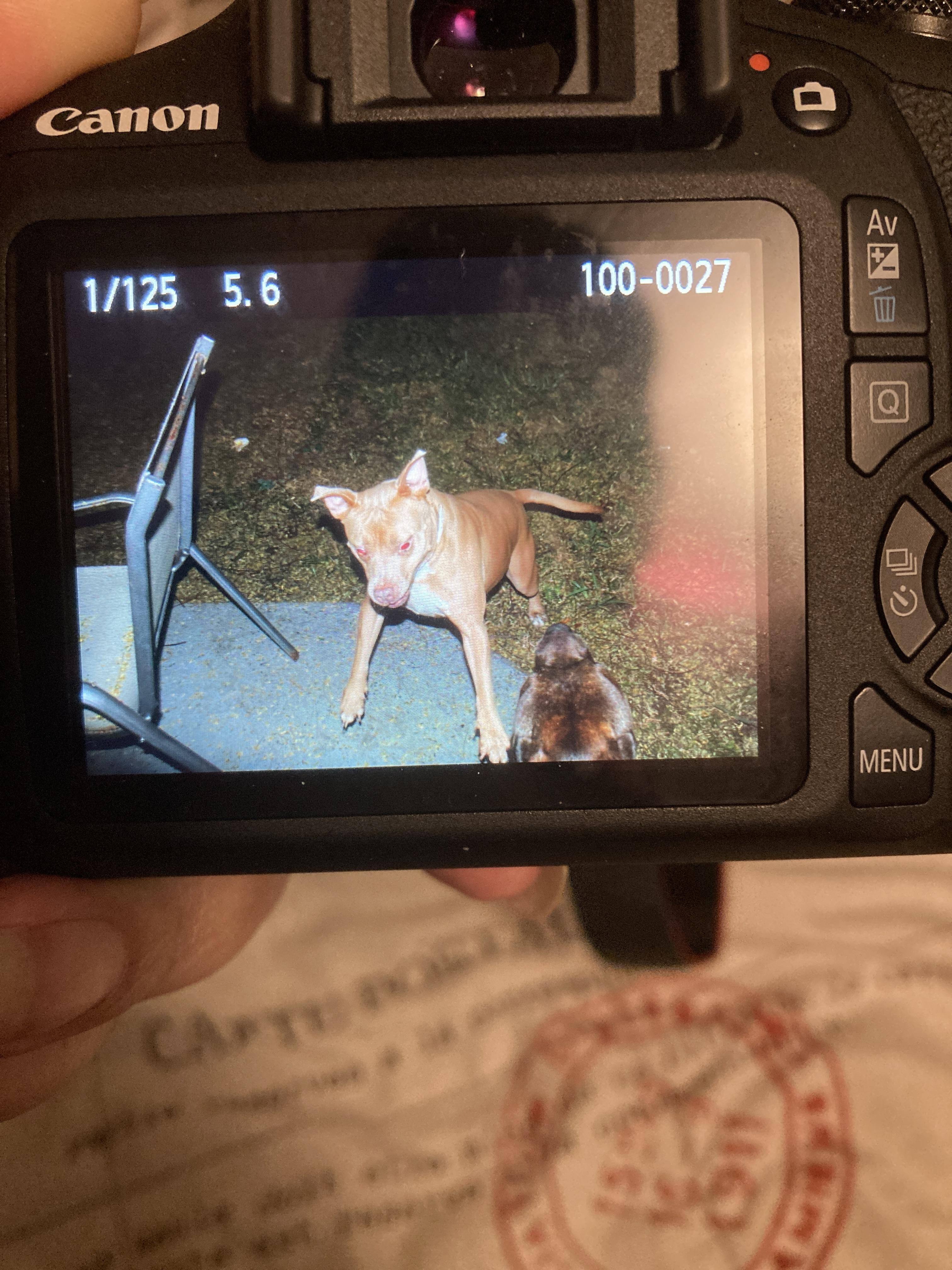 Customer provided, click to load a larger version