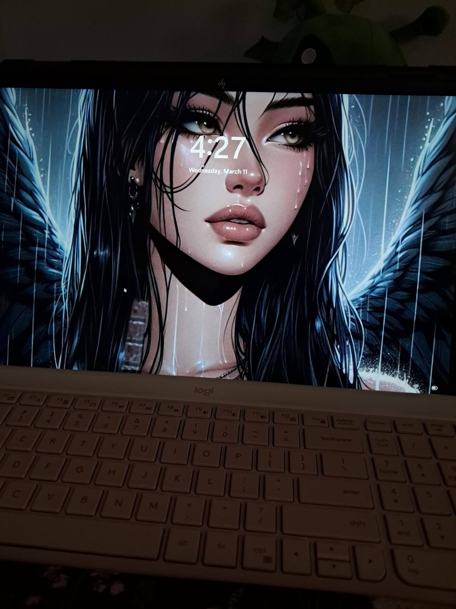 Customer provided image, click to load a larger version