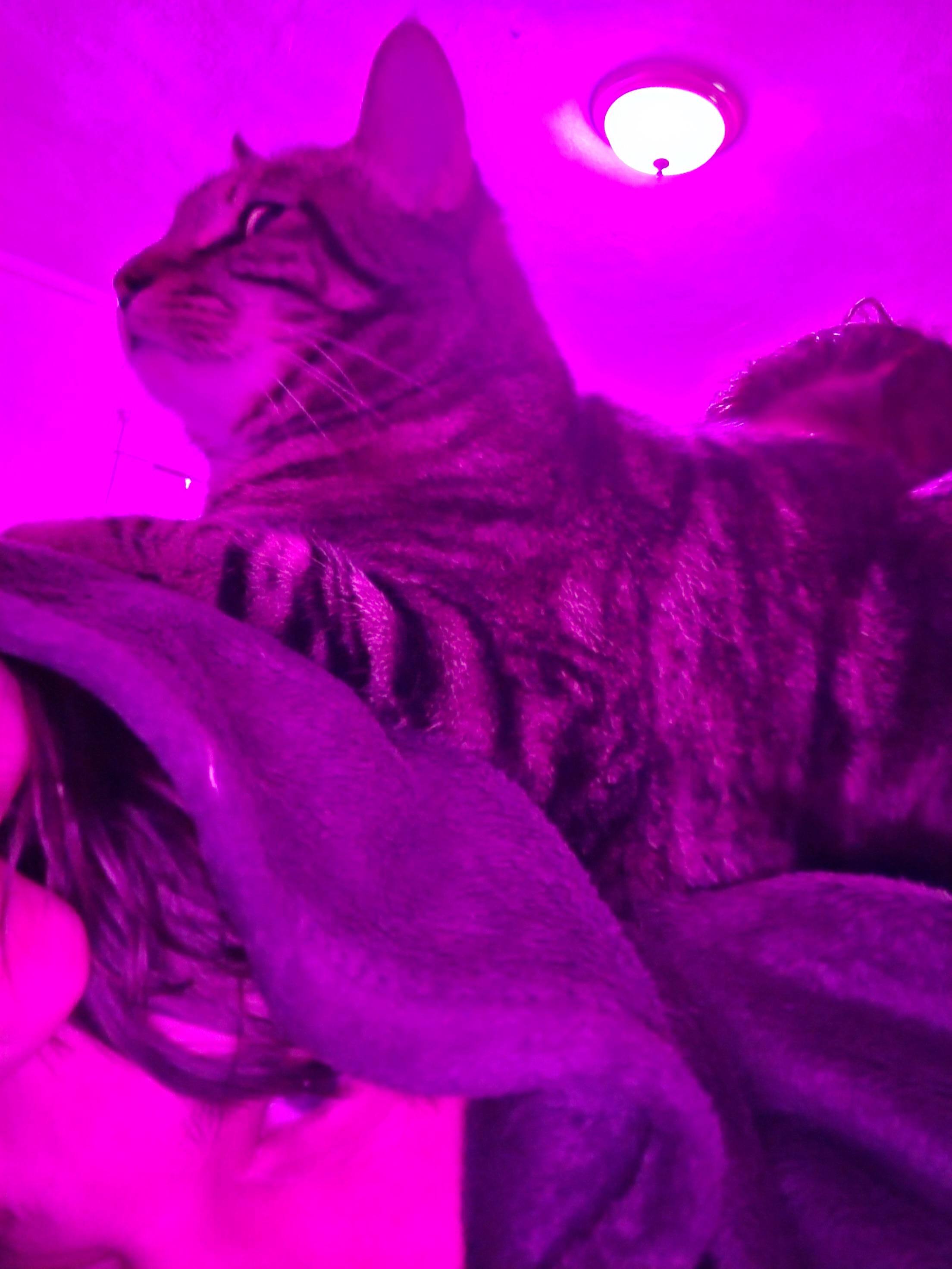 Customer provided image, click to load a larger version