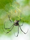 Shot with A6000, click to load a larger version