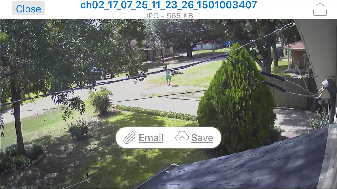 Customer provided image, click to load a larger version