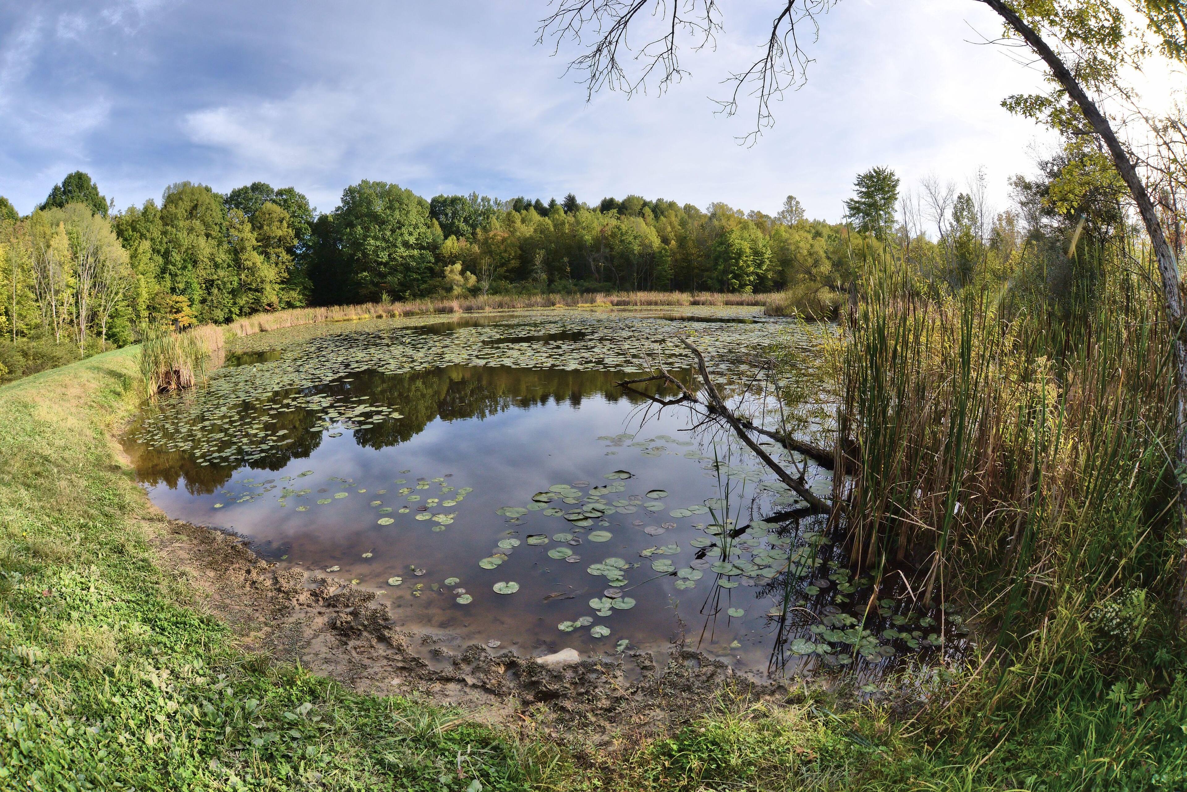 pond at Oak Hill Park, Ohio, click to load a larger version