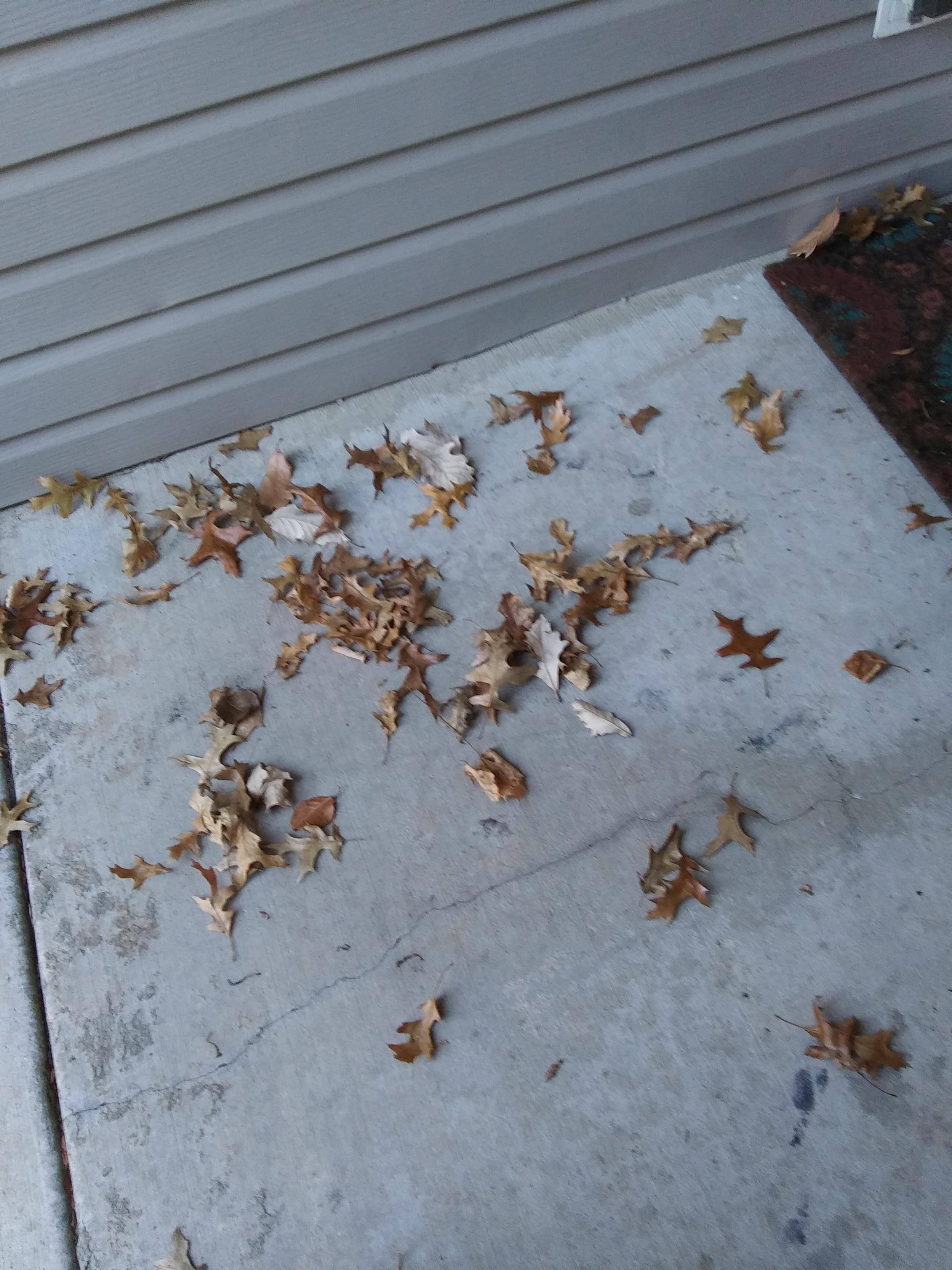 Before Hoover Blower, click to load a larger version