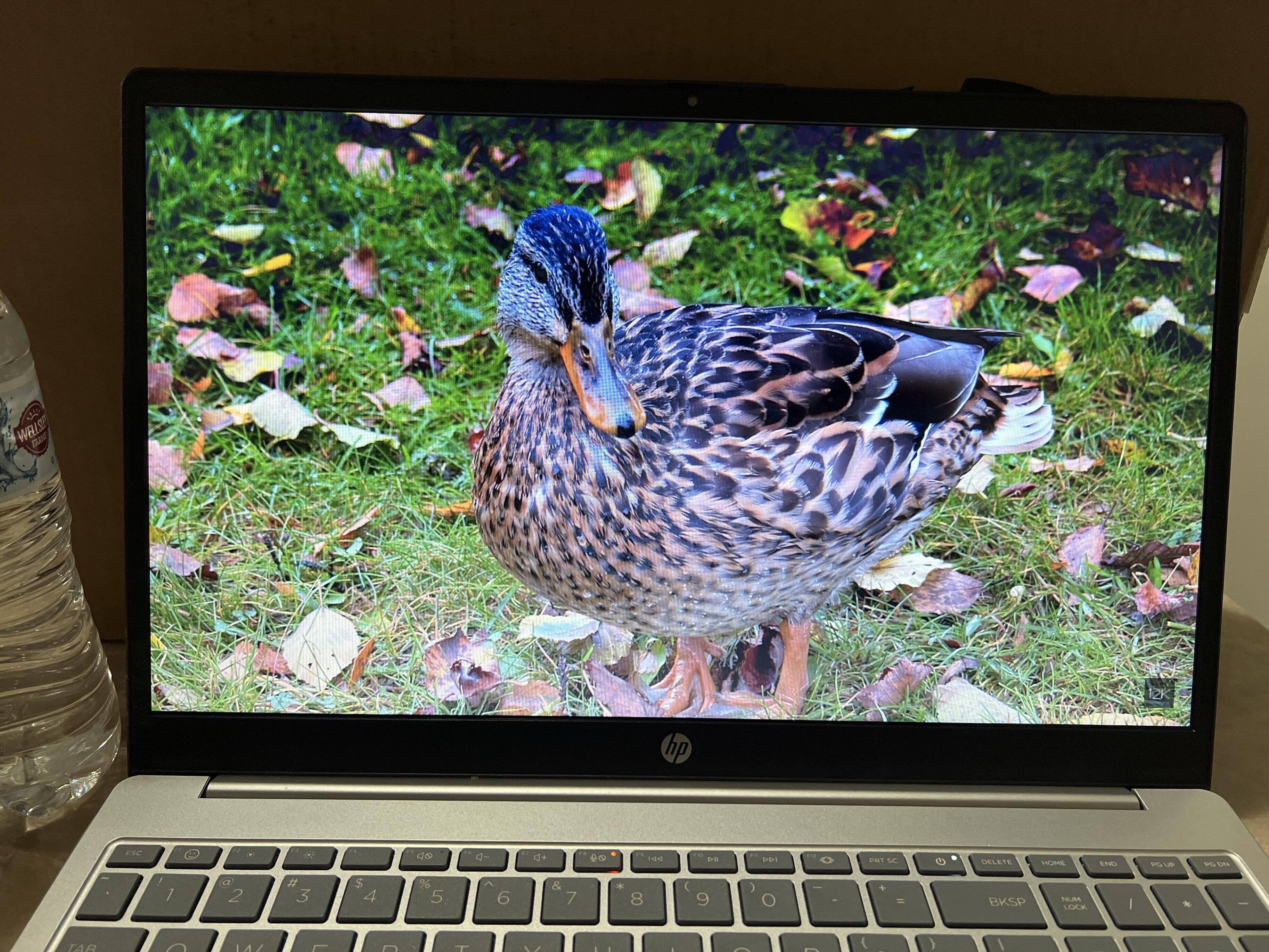 Customer provided, click to load a larger version