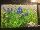 4x6 Photo on HP photo paper (Best quality setting), click to load a larger version