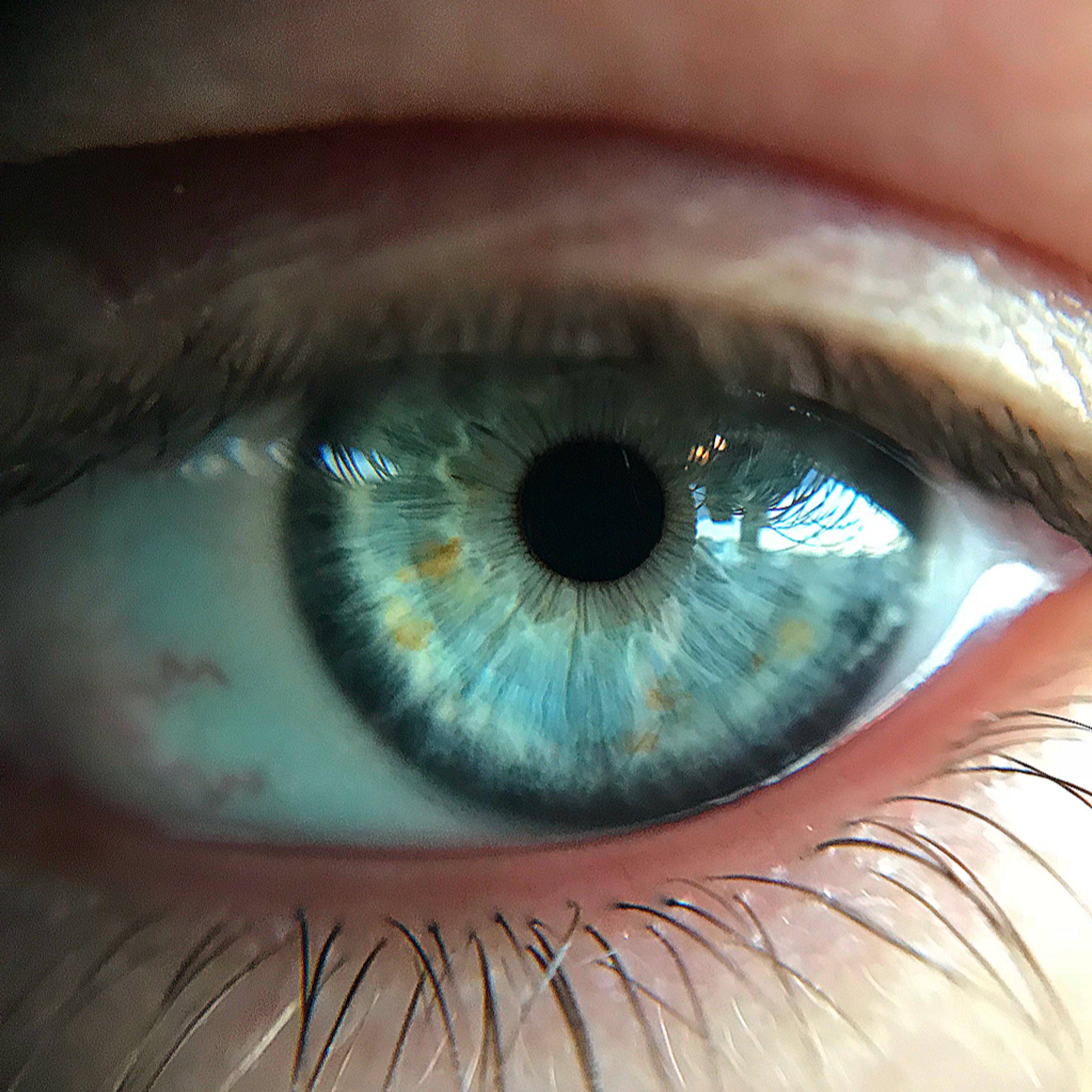 Extreme close up of my eye using the macro lens., click to load a larger version