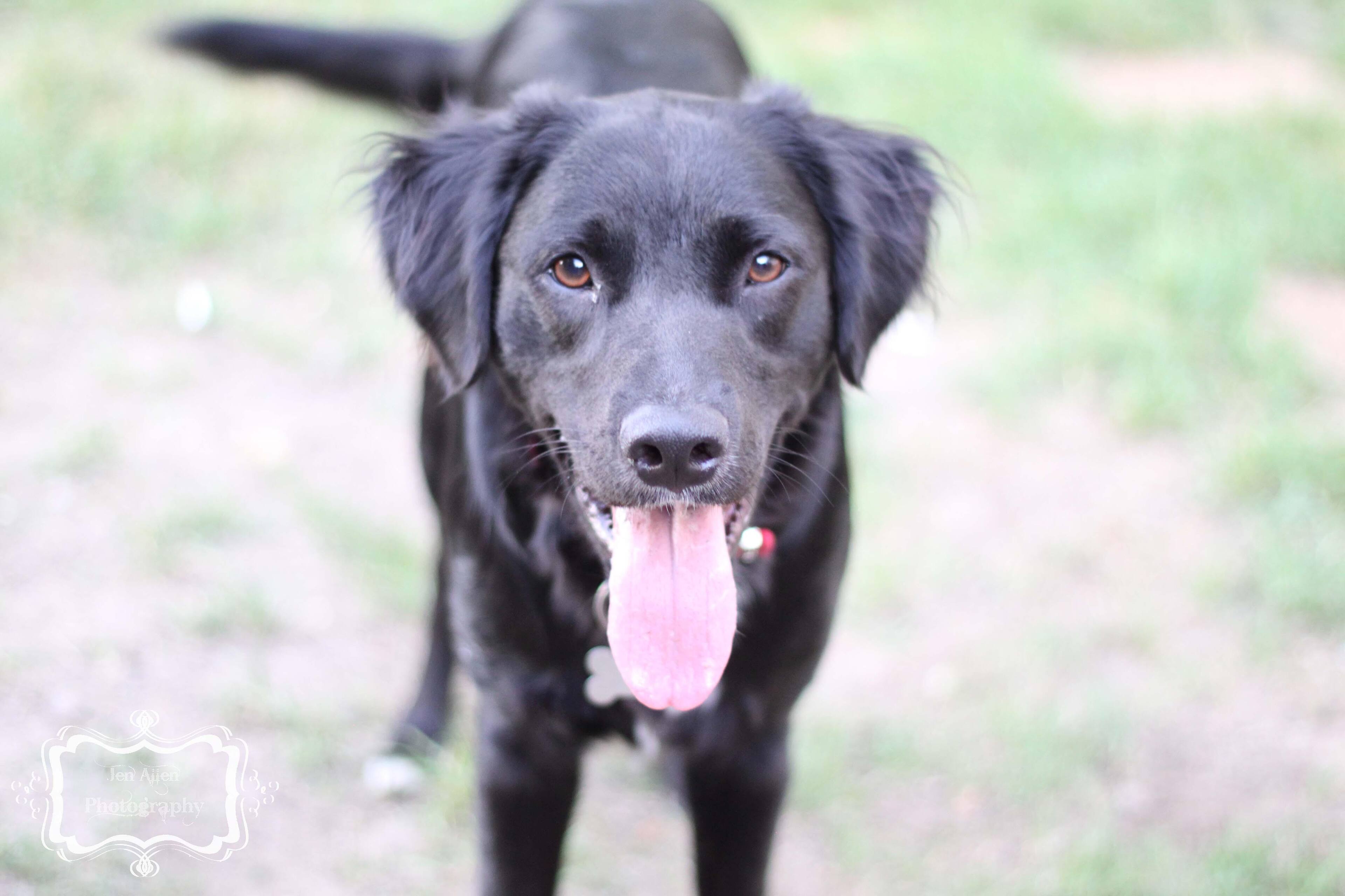 I won a photo contest with this image., click to load a larger version