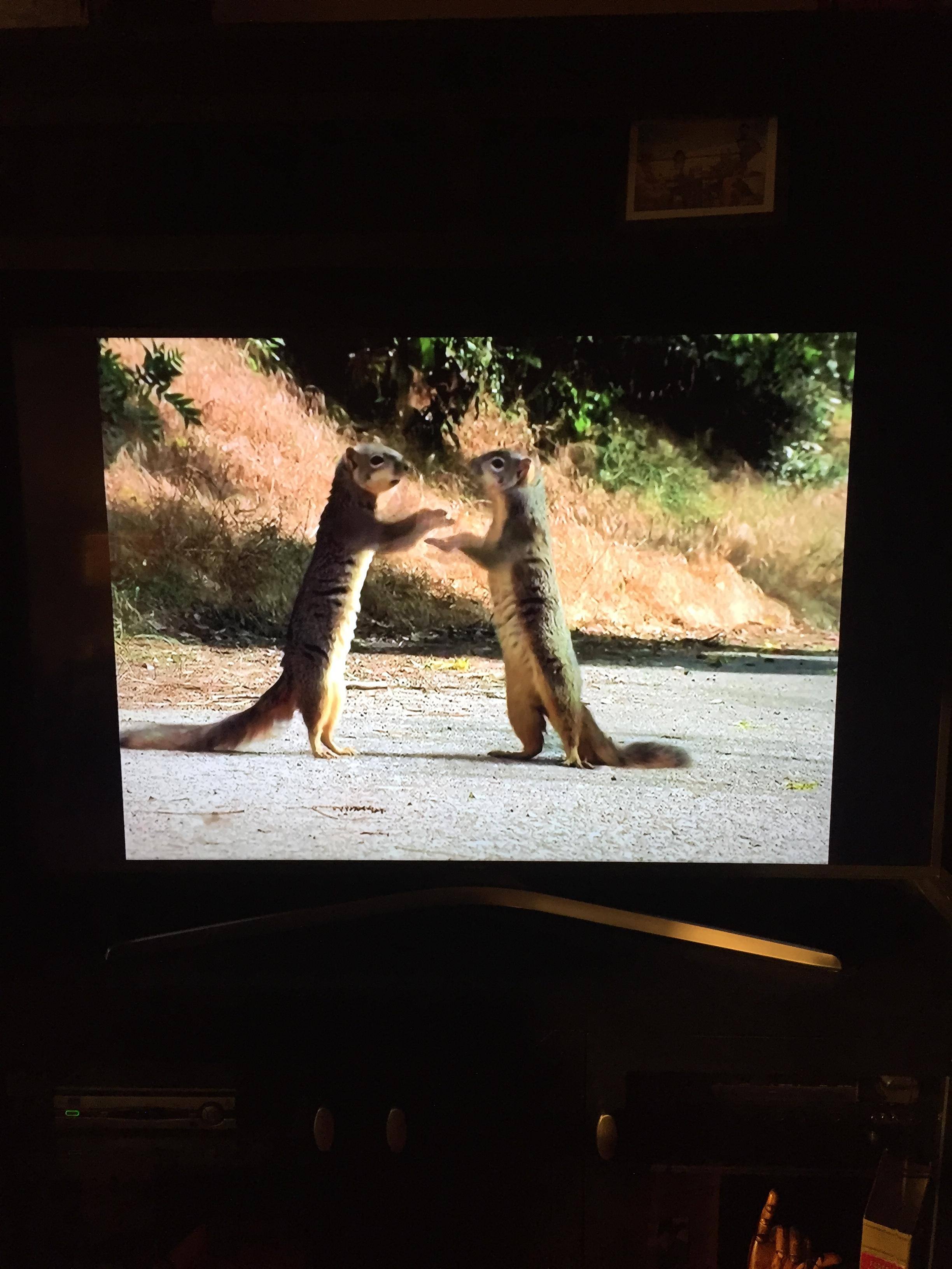 new TV, click to load a larger version