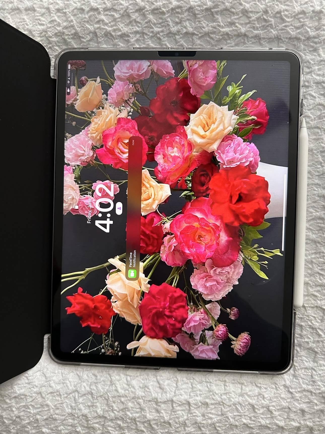 Apple 12.9 Inch iPad Pro (6th Generation) M2 chip Wi Fi 1TB Space