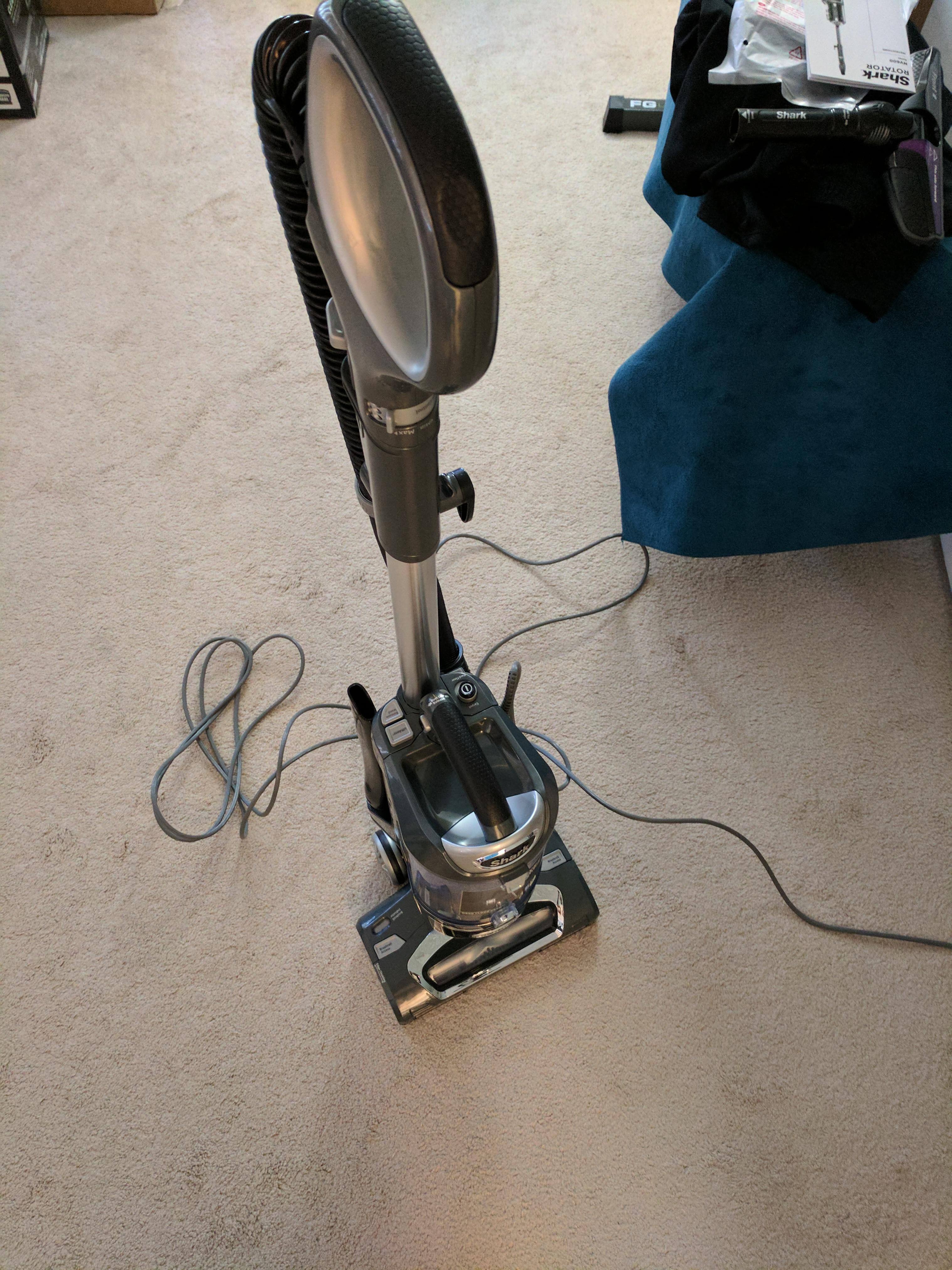 The Shark Itself, click to load a larger version