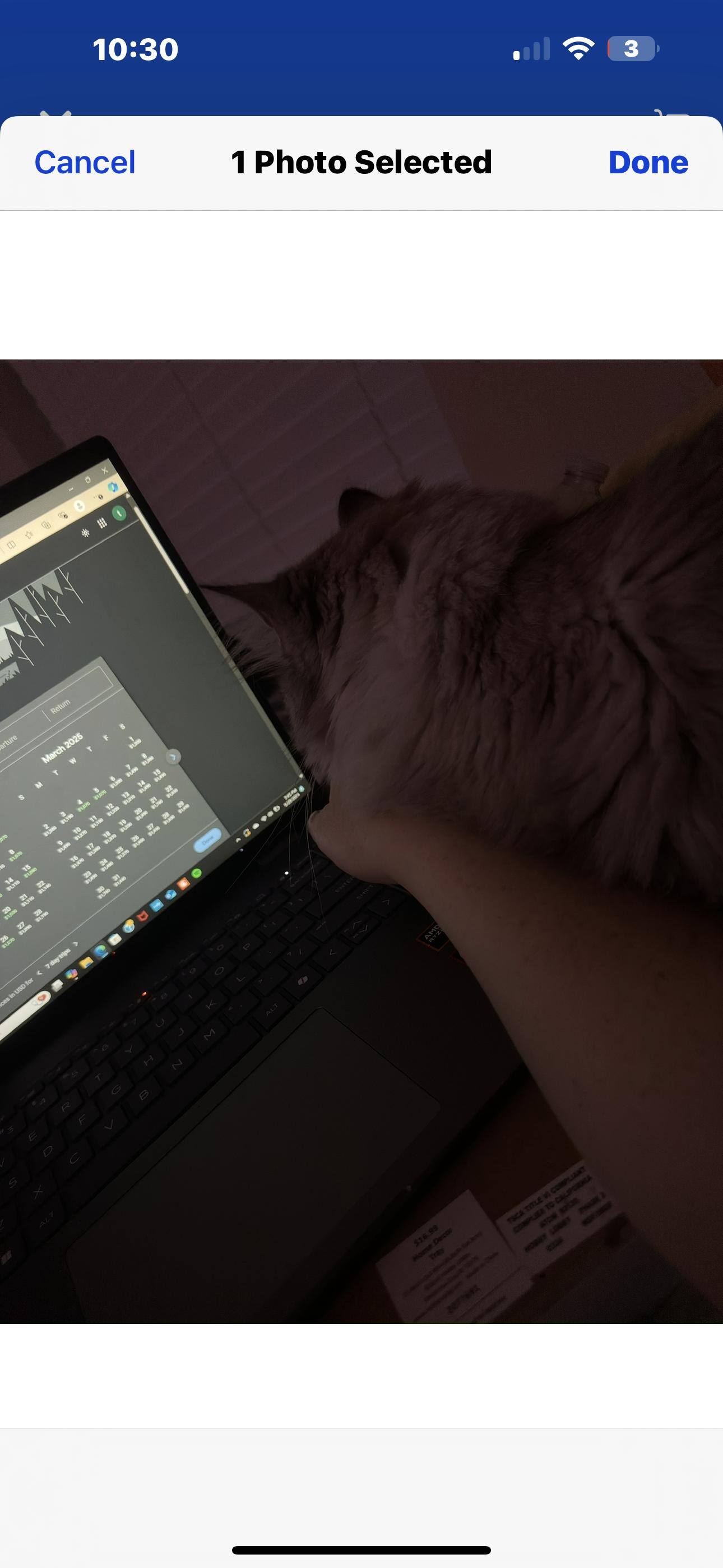 Customer provided, click to load a larger version