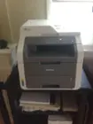 My new office friend ., click to load a larger version
