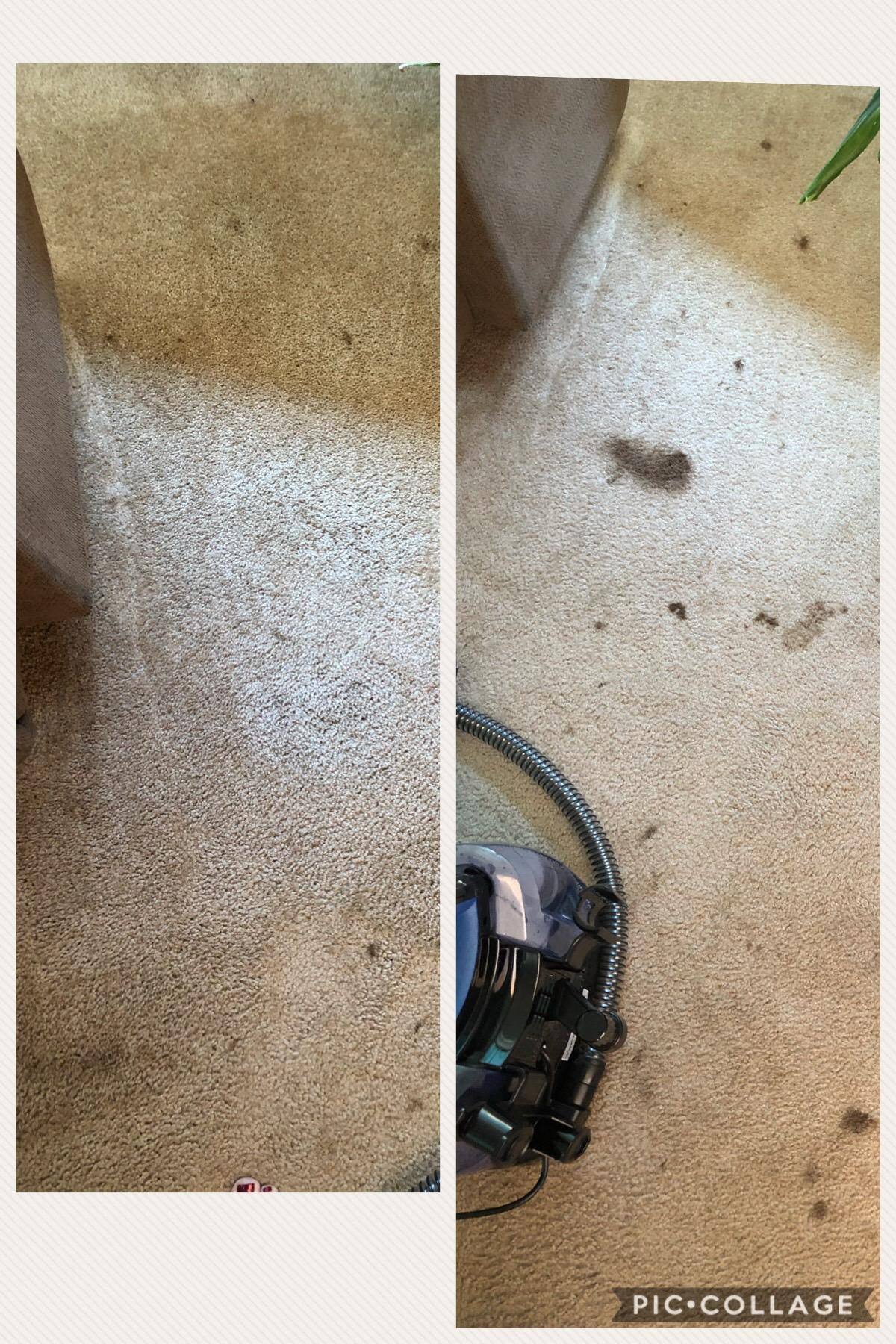 Right after cleaning-still damp, click to load a larger version