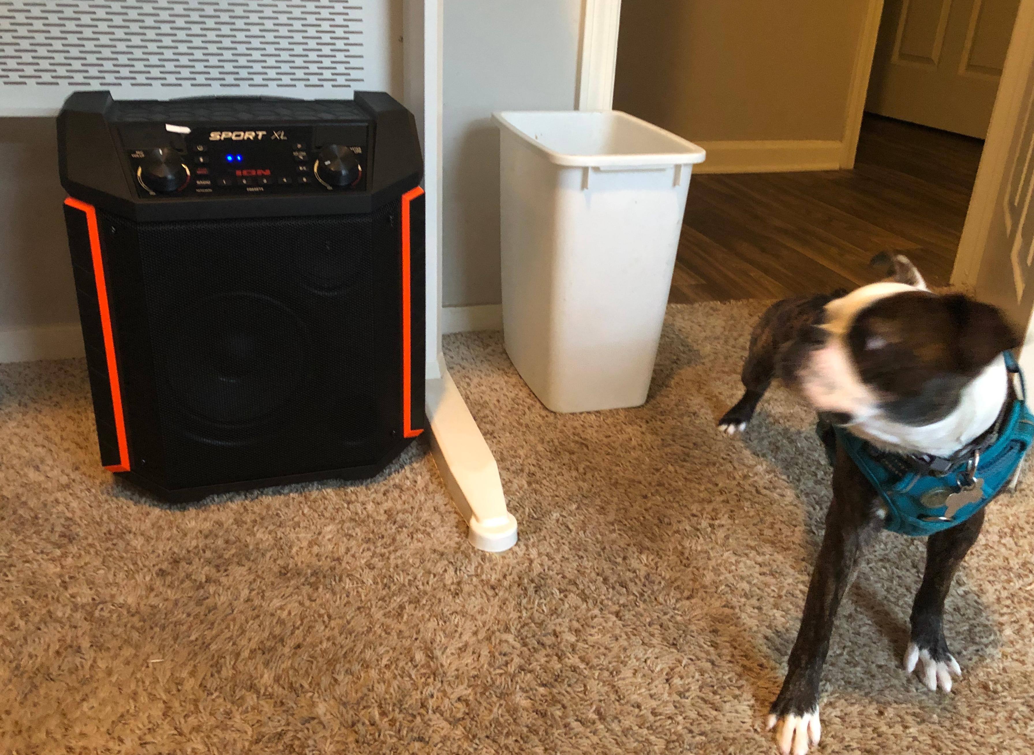 Customer provided image, click to load a larger version