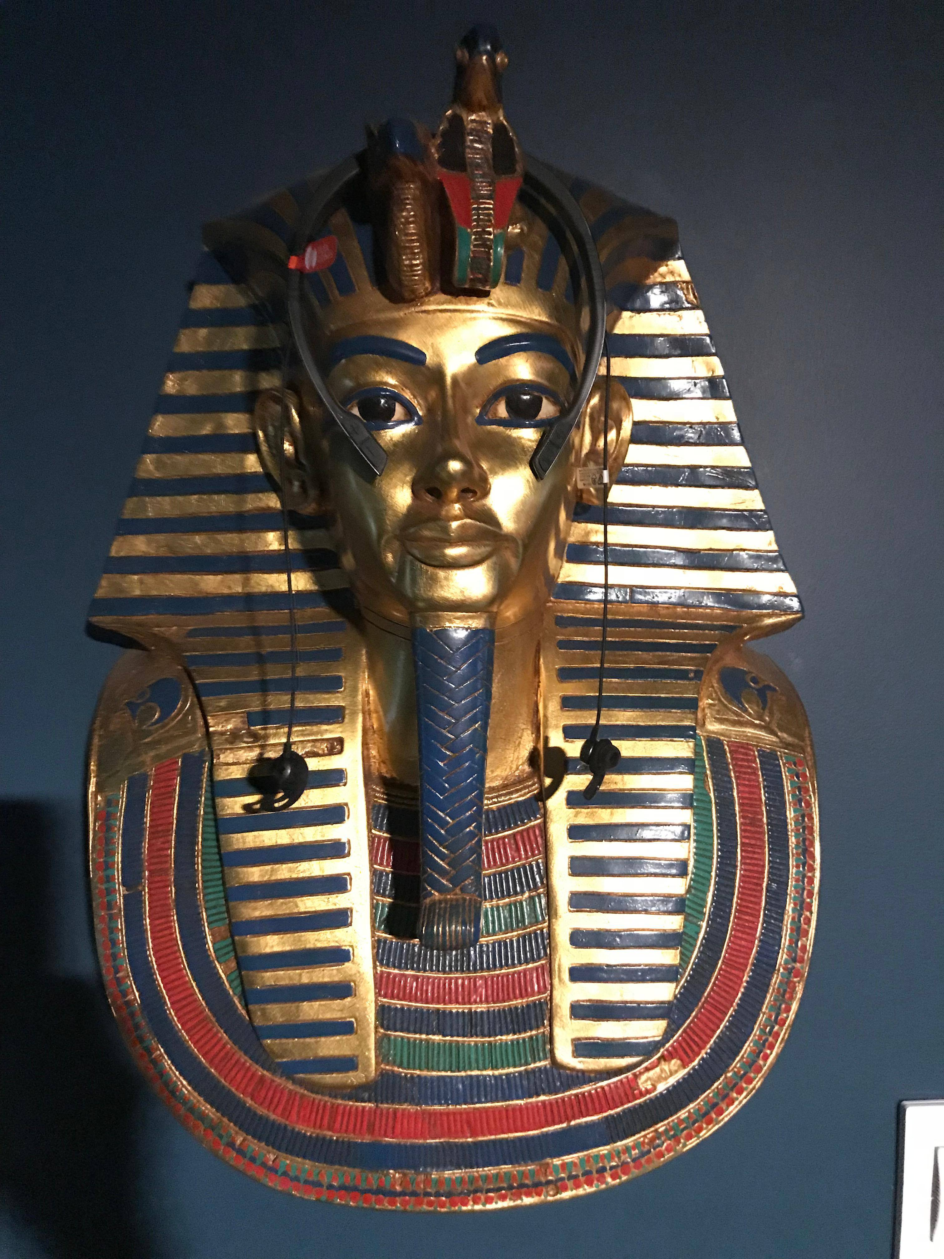 Look who's wearing JBL - Under Armour Sport Flex Wireless!, click to load a larger version