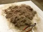 I already know this is gross., click to load a larger version