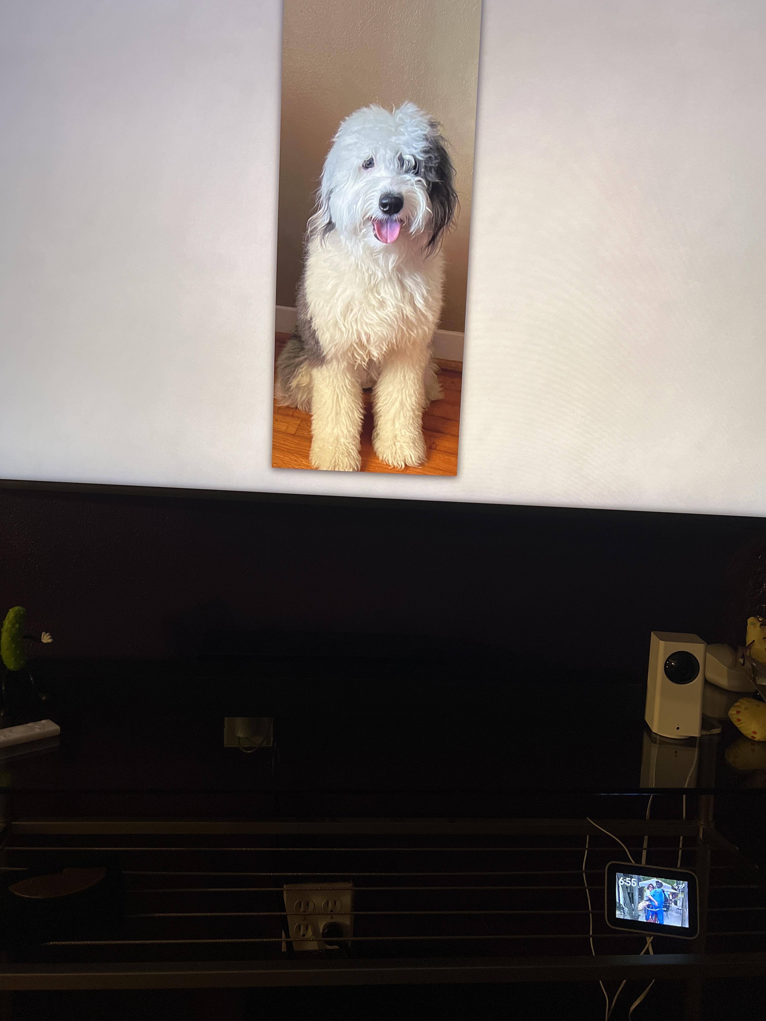 Customer provided, click to load a larger version