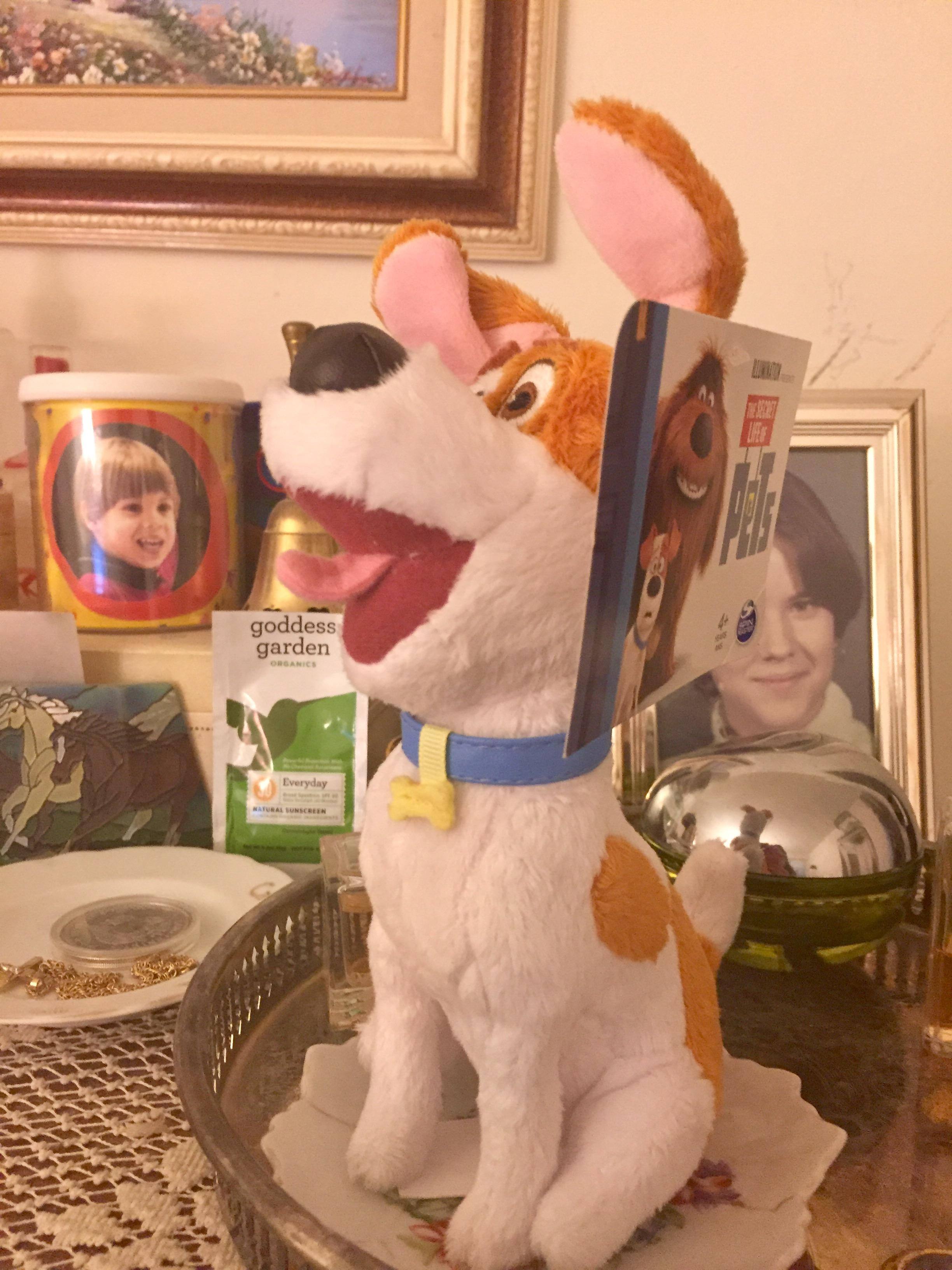 Max tag showing, click to load a larger version