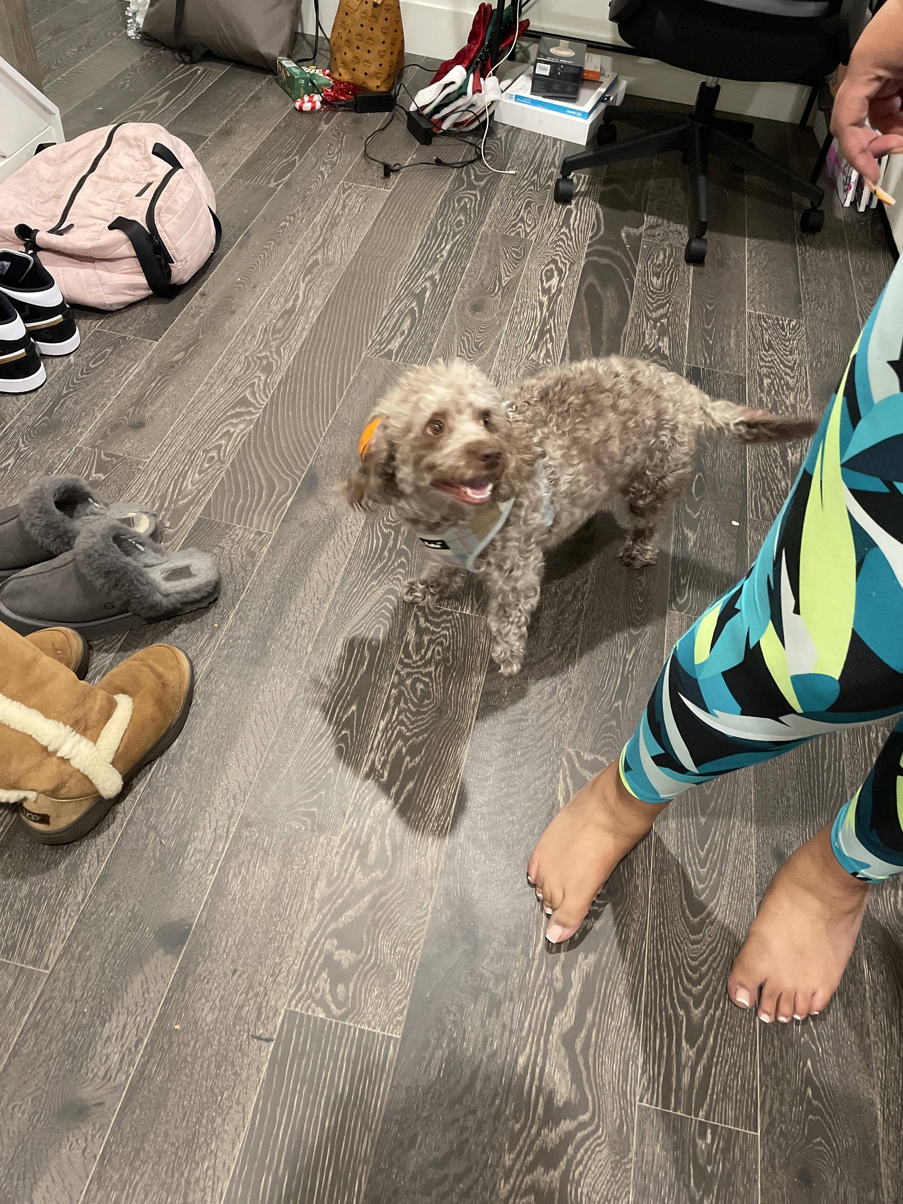 Customer provided, click to load a larger version